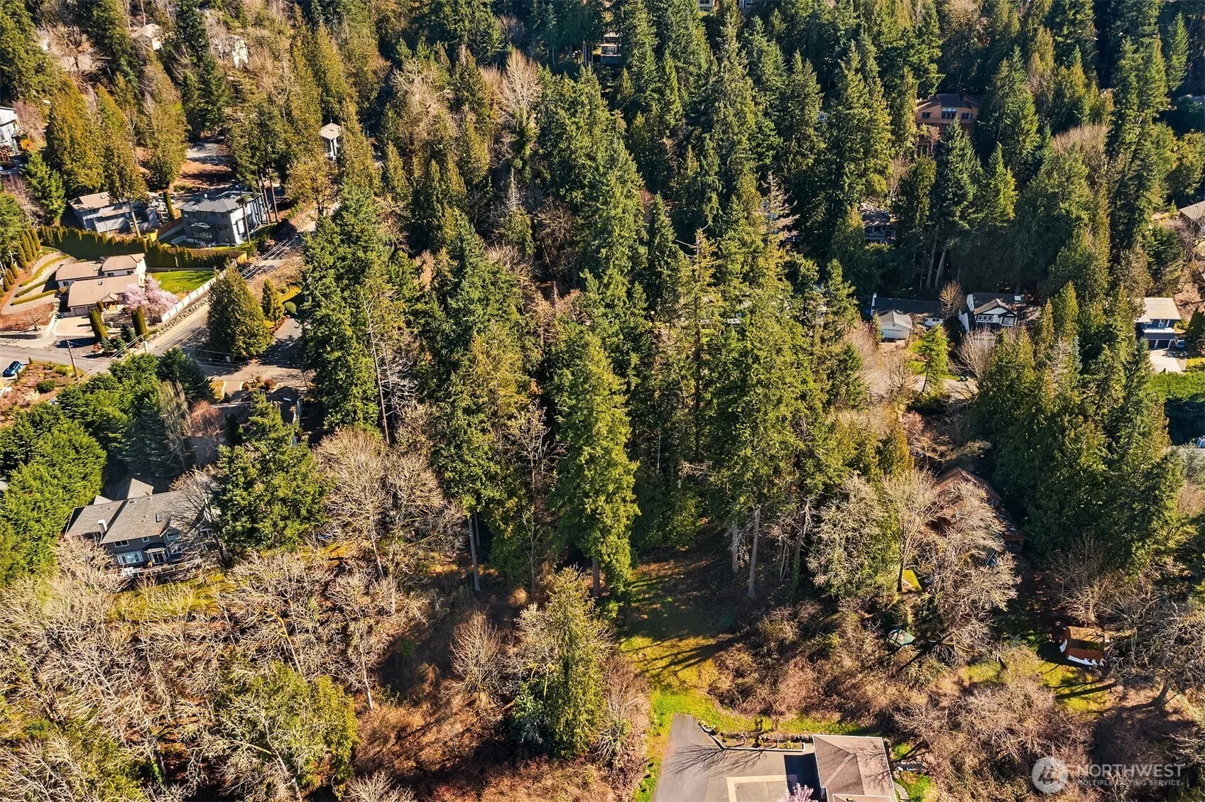 11 XX 205th Avenue NE, Sammamish, WA 98074