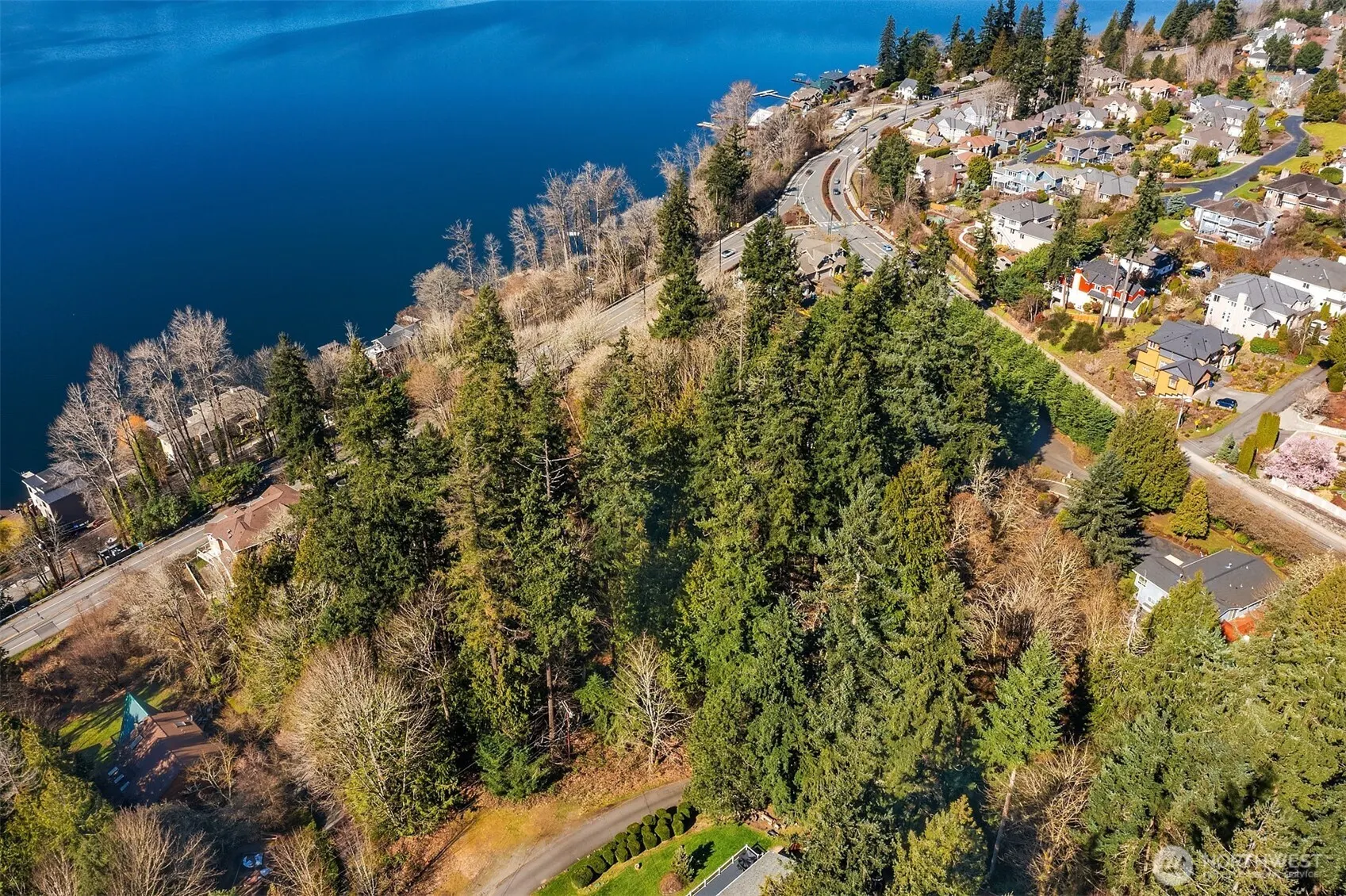 11 XX 205th Avenue NE, Sammamish, WA 98074