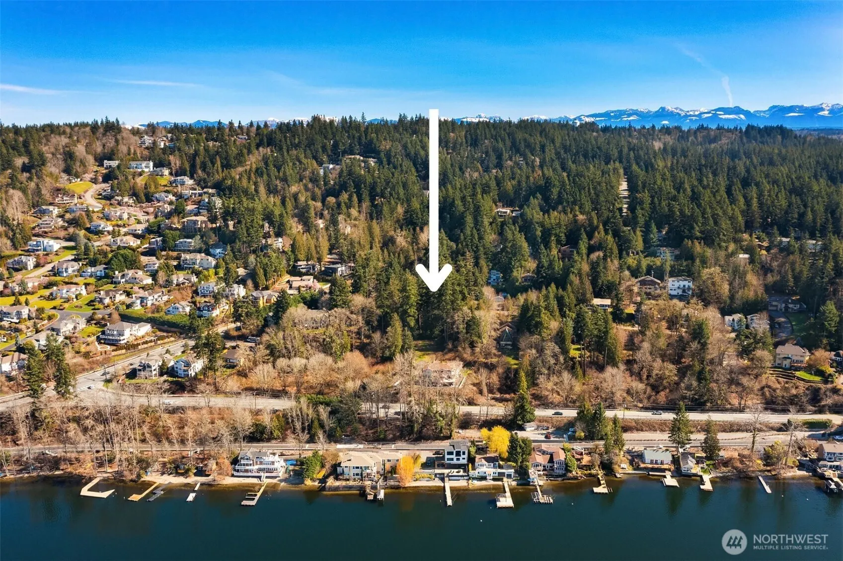 11 XX 205th Avenue NE, Sammamish, WA 98074