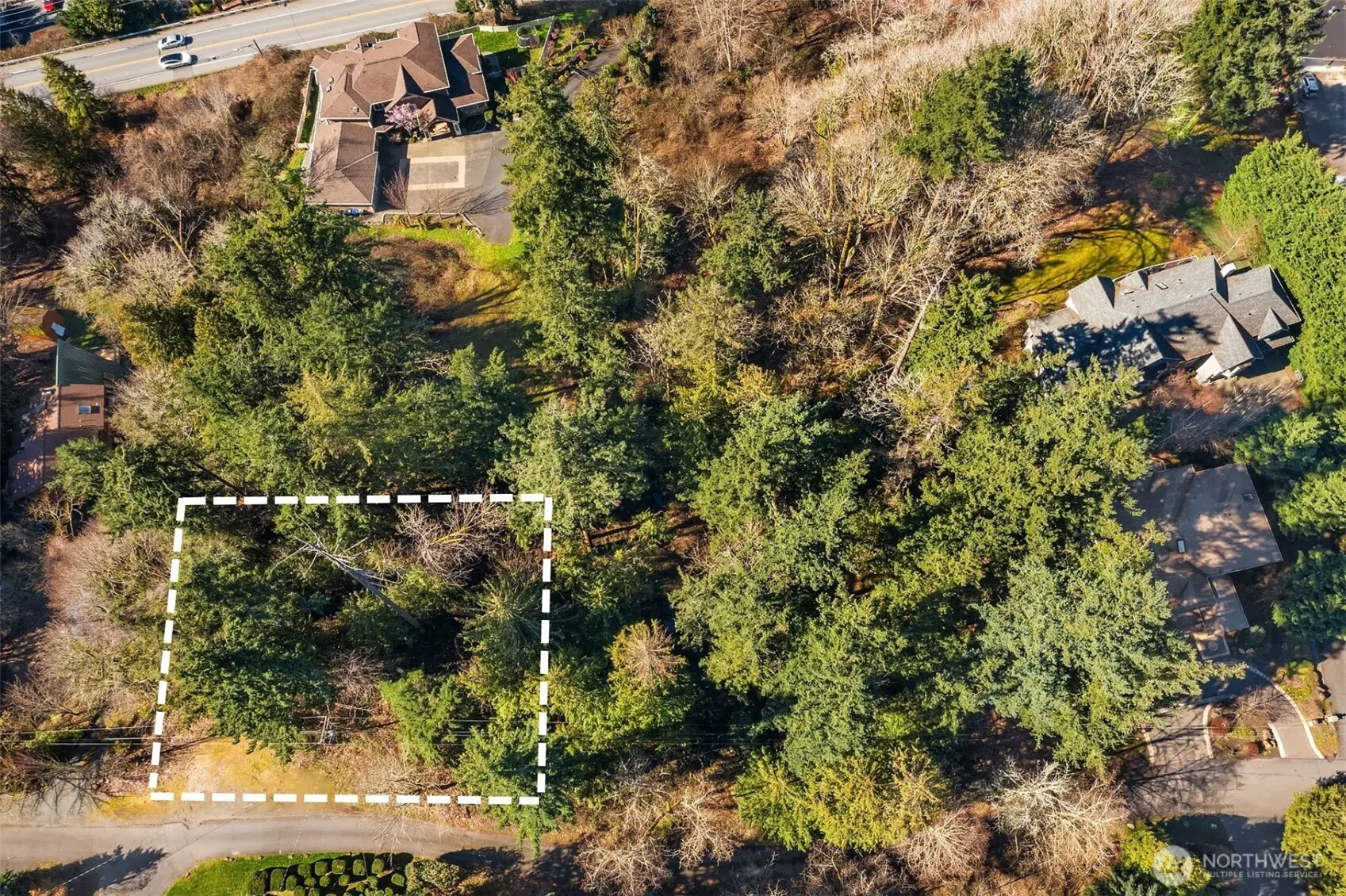 11 XX 205th Avenue NE, Sammamish, WA 98074