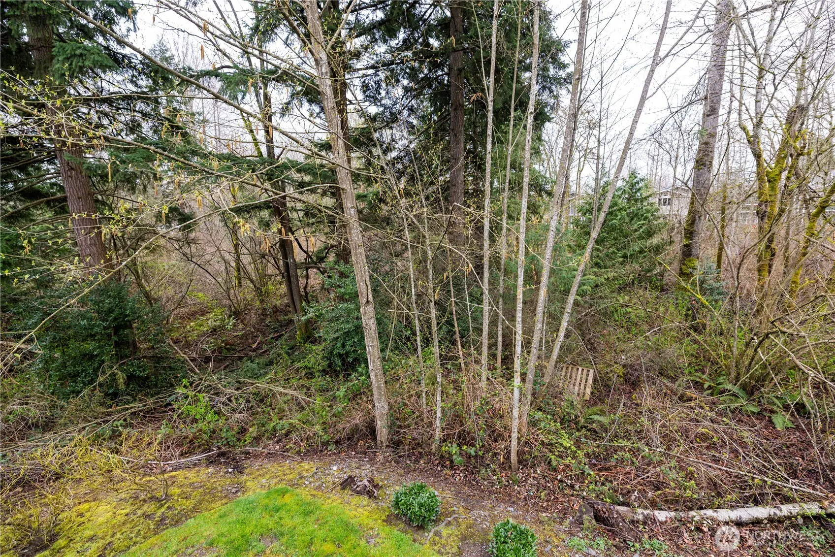 11556 170th Court , Renton, WA 98055