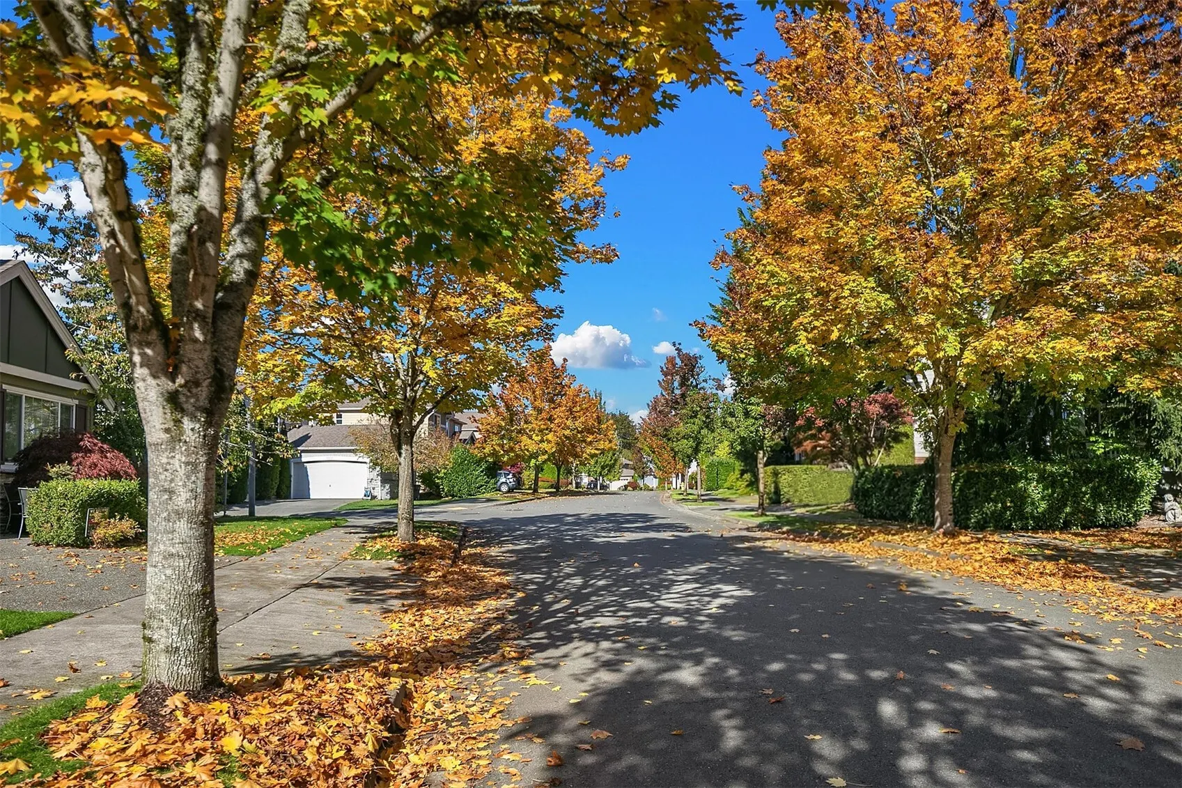 11929 179th Place NE, Redmond, WA 98052