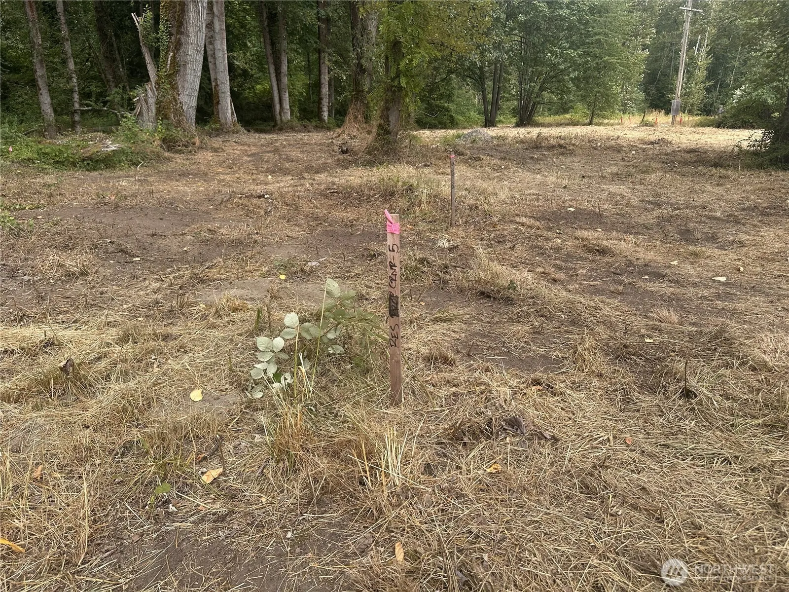 15408 SE Jones Road , Renton, WA 98058