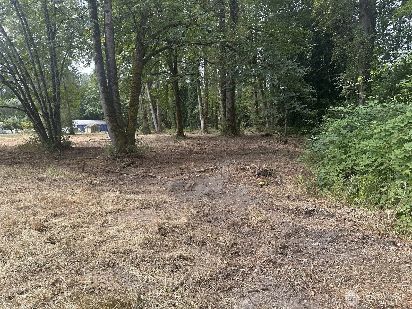 15408 SE Jones Road , Renton, WA 98058