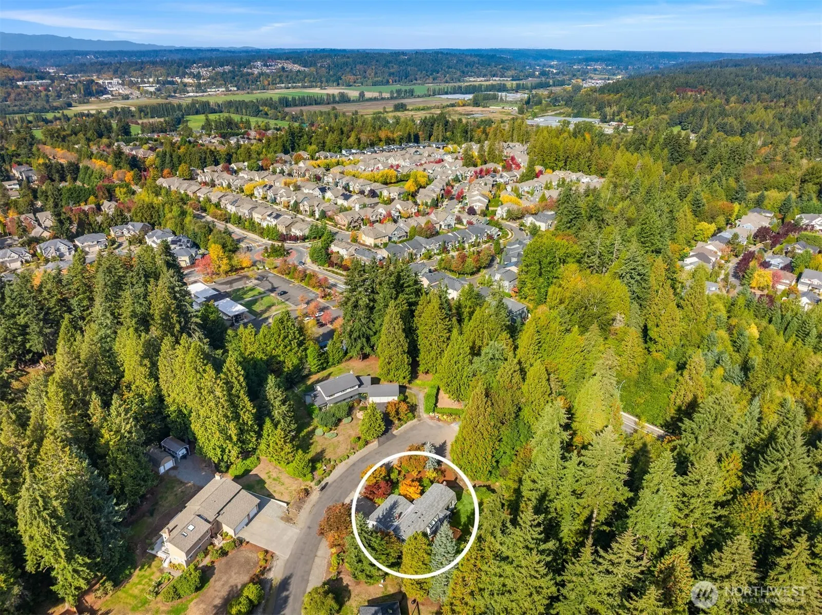11508 165th Court NE, Redmond, WA 98052