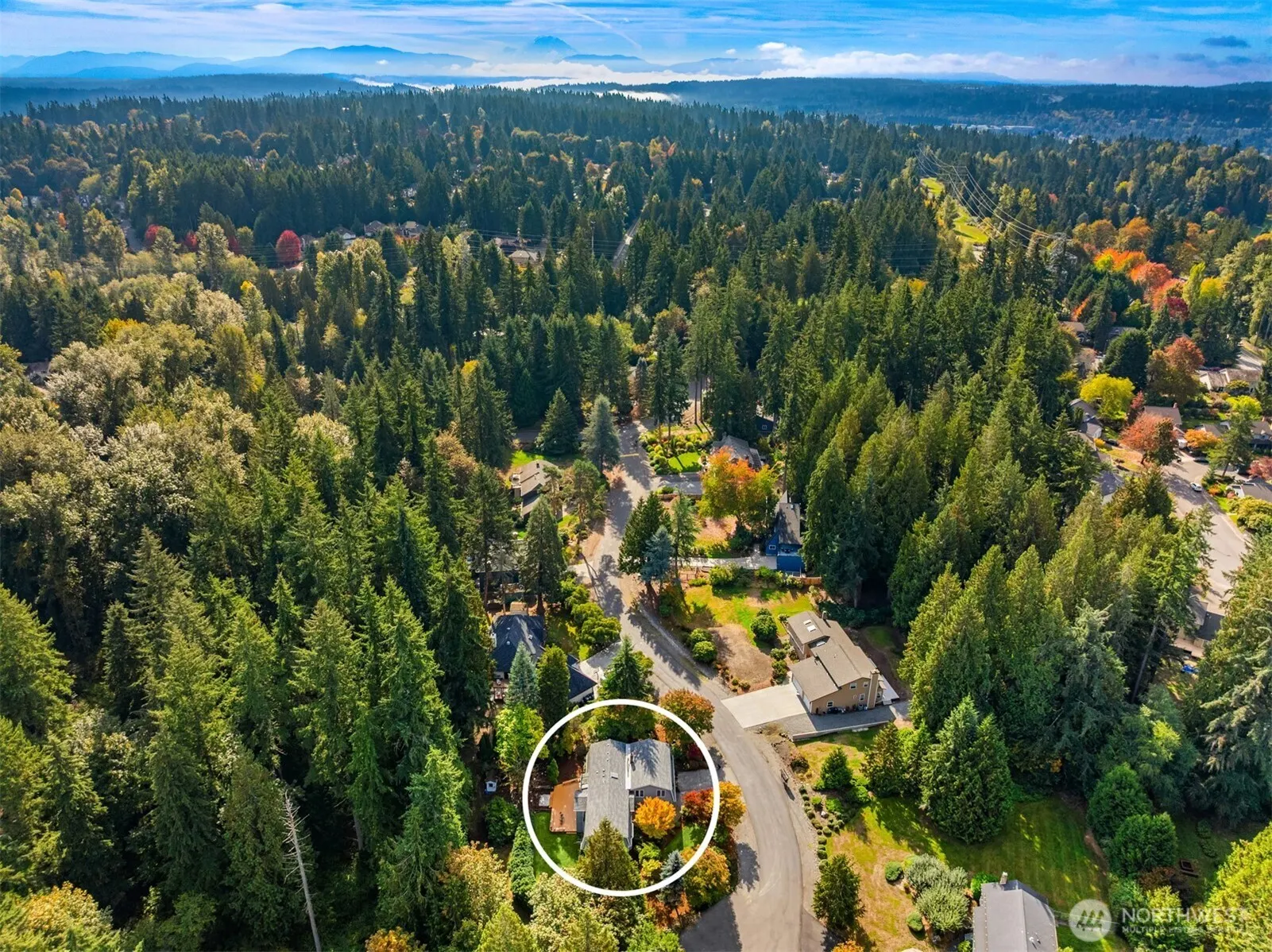 11508 165th Court NE, Redmond, WA 98052