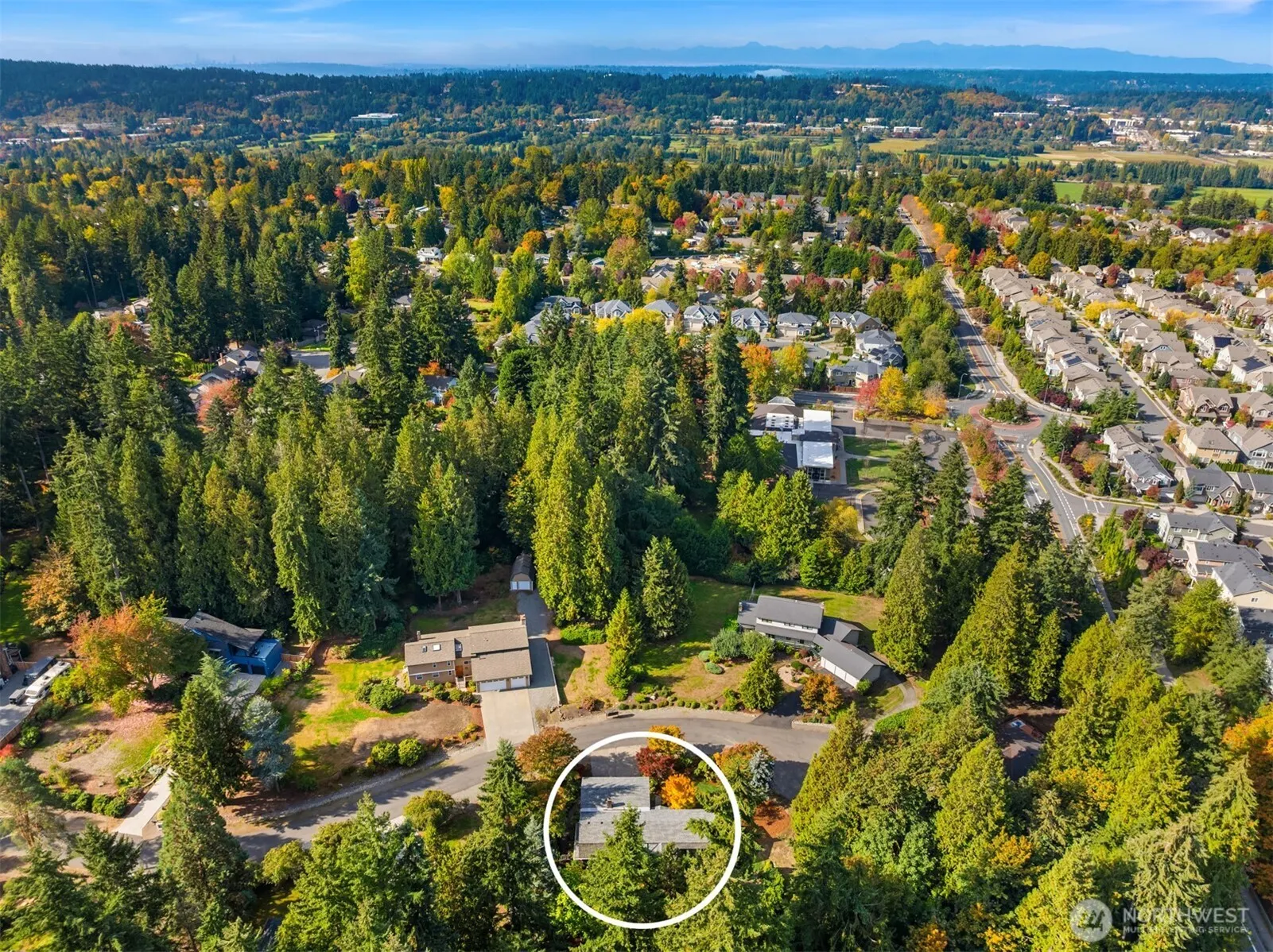 11508 165th Court NE, Redmond, WA 98052