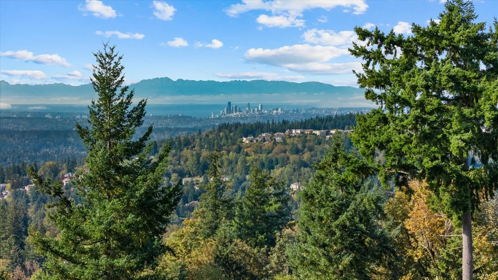 6452 170th Pl SE , Bellevue, WA 98006