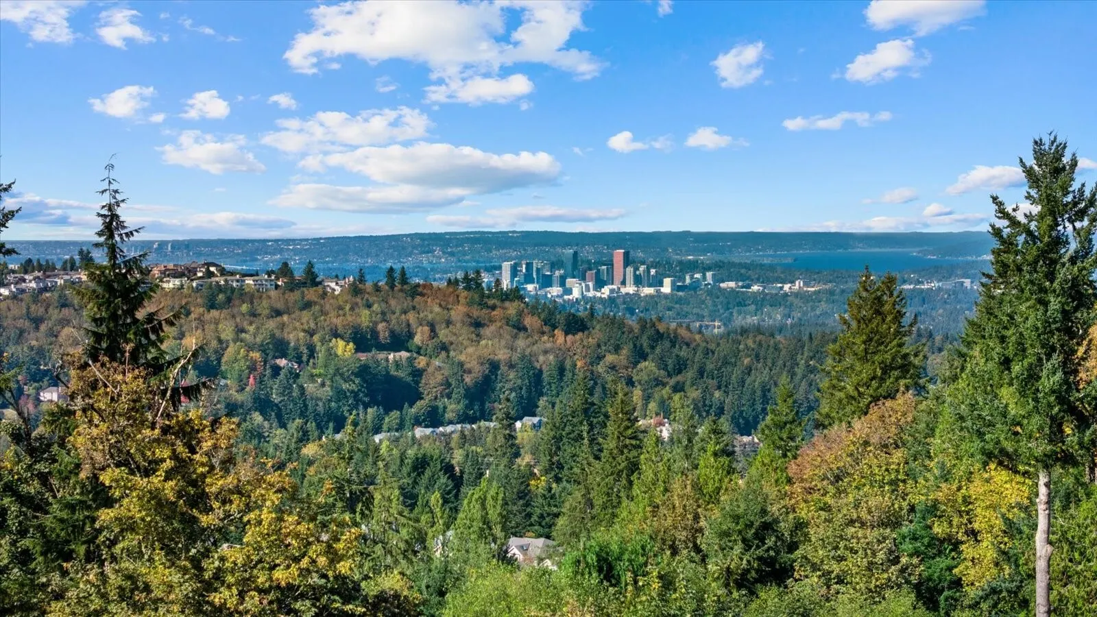6452 170th Pl SE , Bellevue, WA 98006
