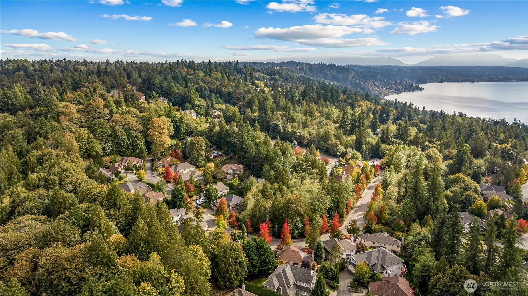 19618 NE 44th Place , Sammamish, WA 98074