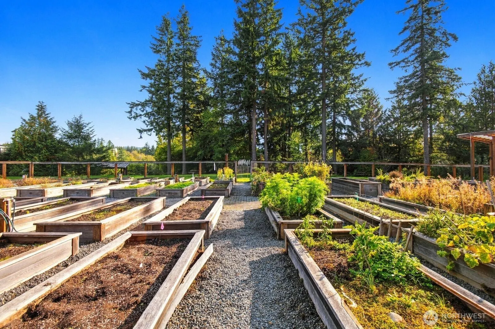 417 Parkside Walk #Lot 37, Sammamish, WA 98074
