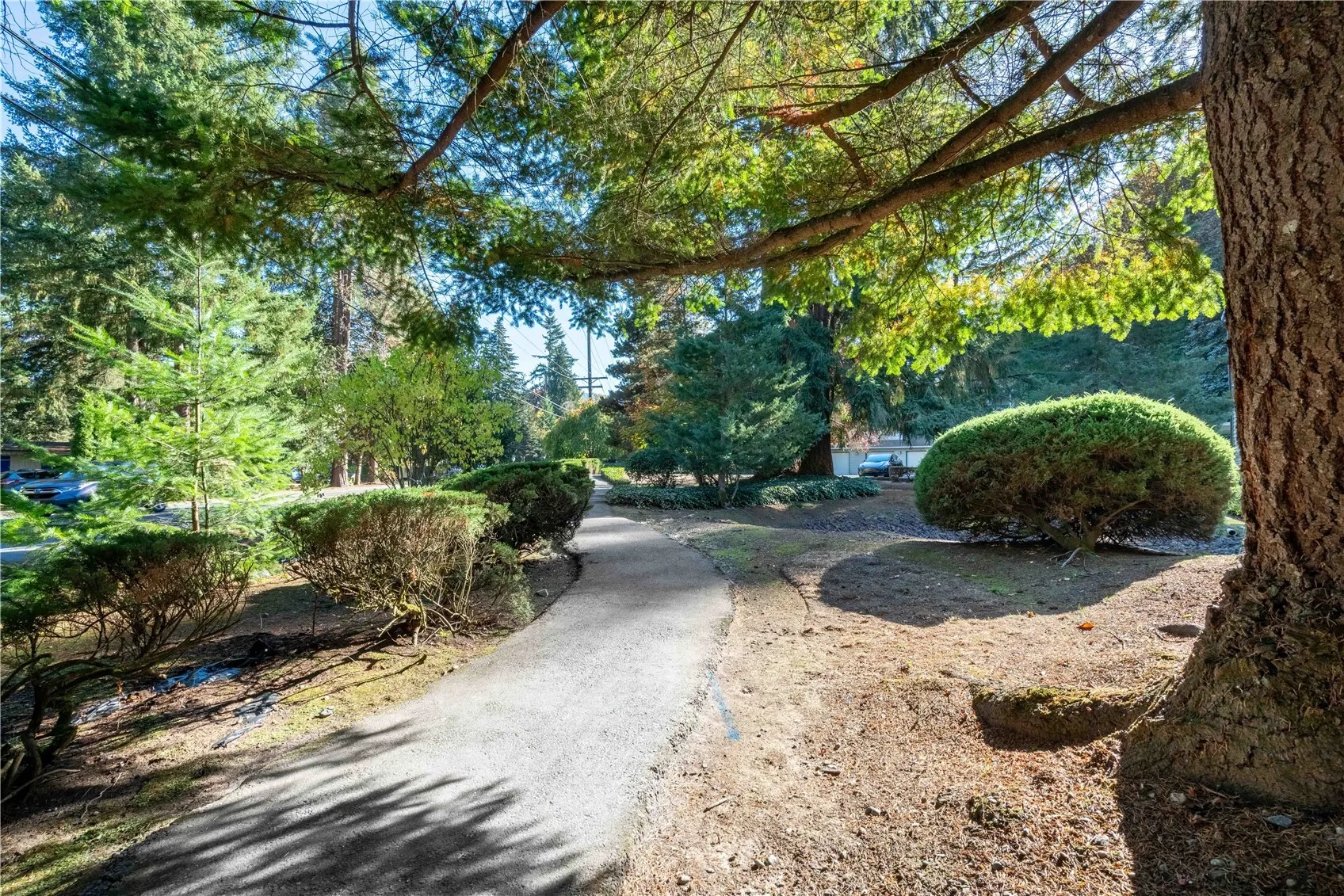 455 Newport Way NW #103, Issaquah, WA 98027