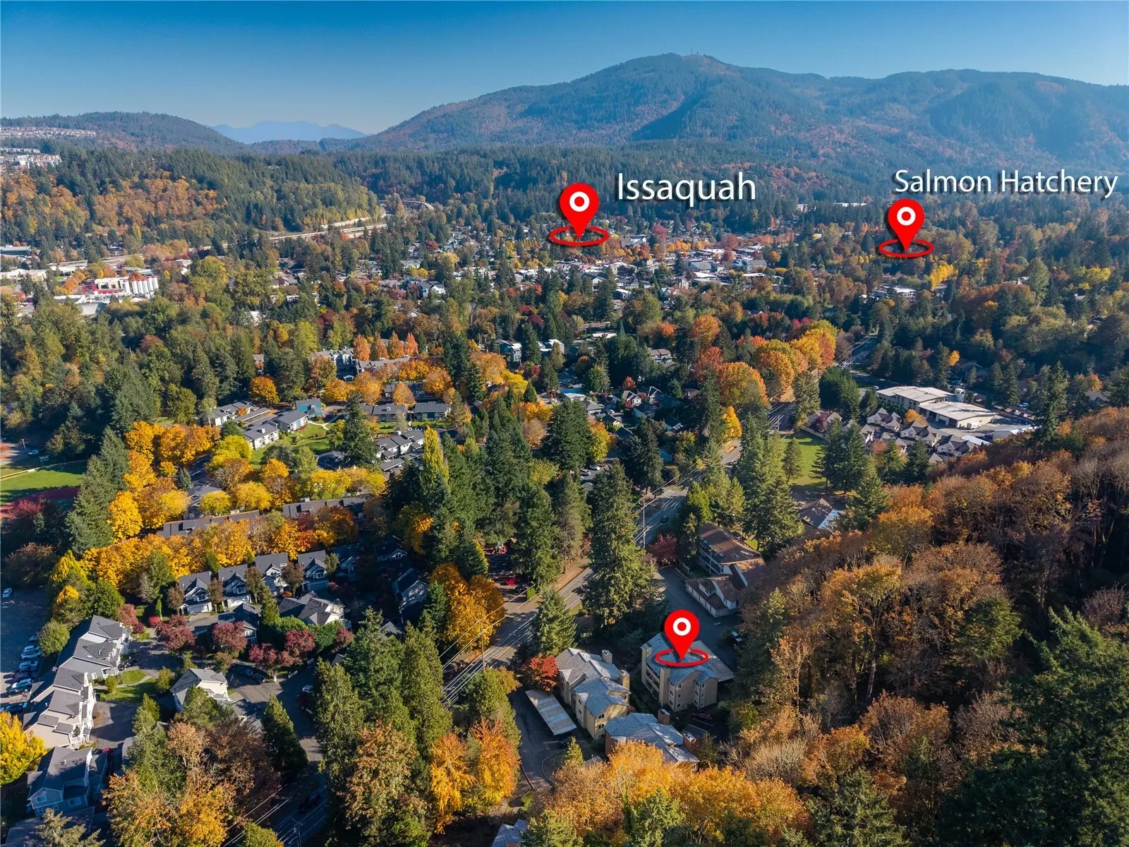 455 Newport Way NW #103, Issaquah, WA 98027