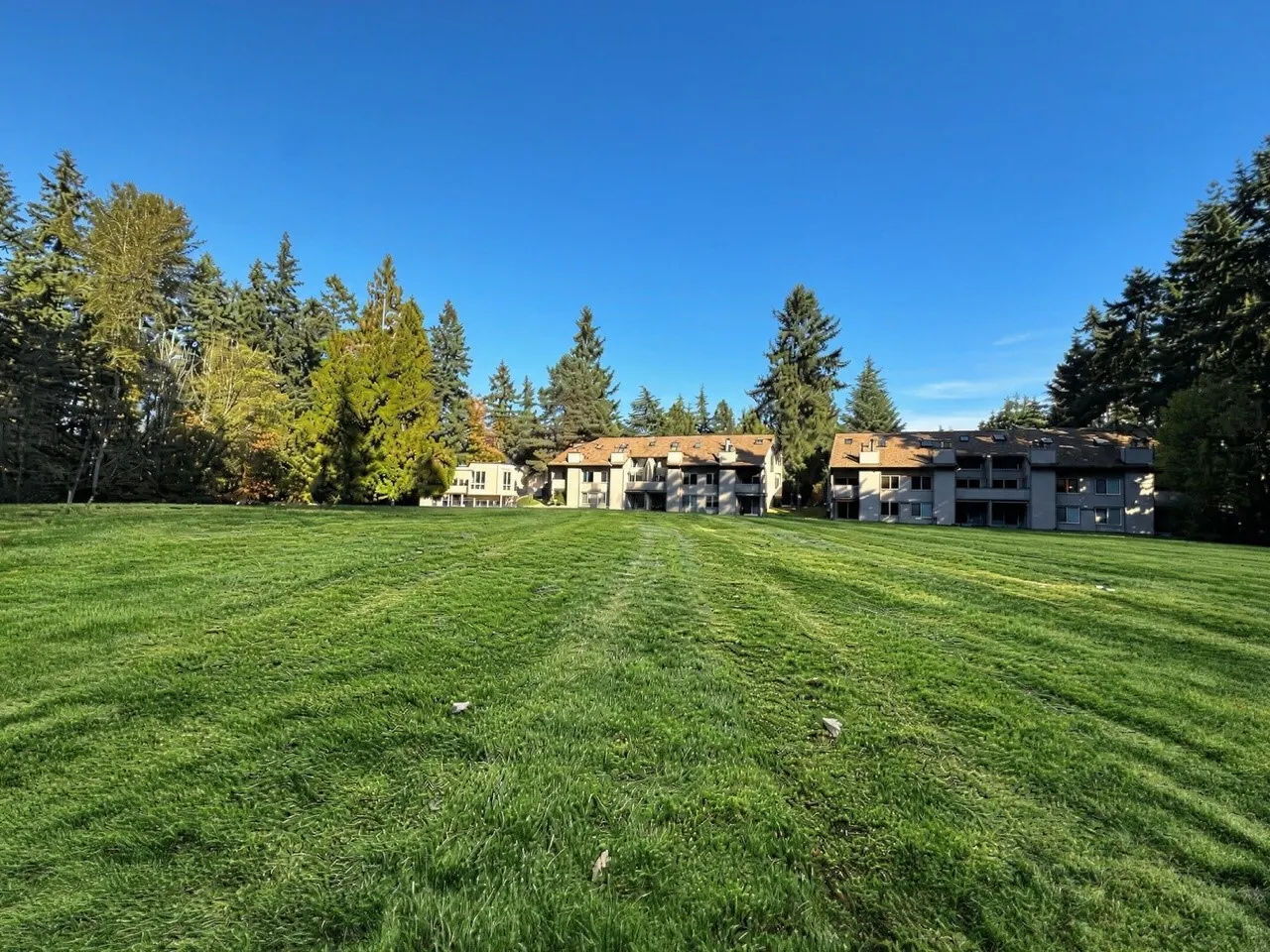 14600 NE 45th Street #D9, Bellevue, WA 98007