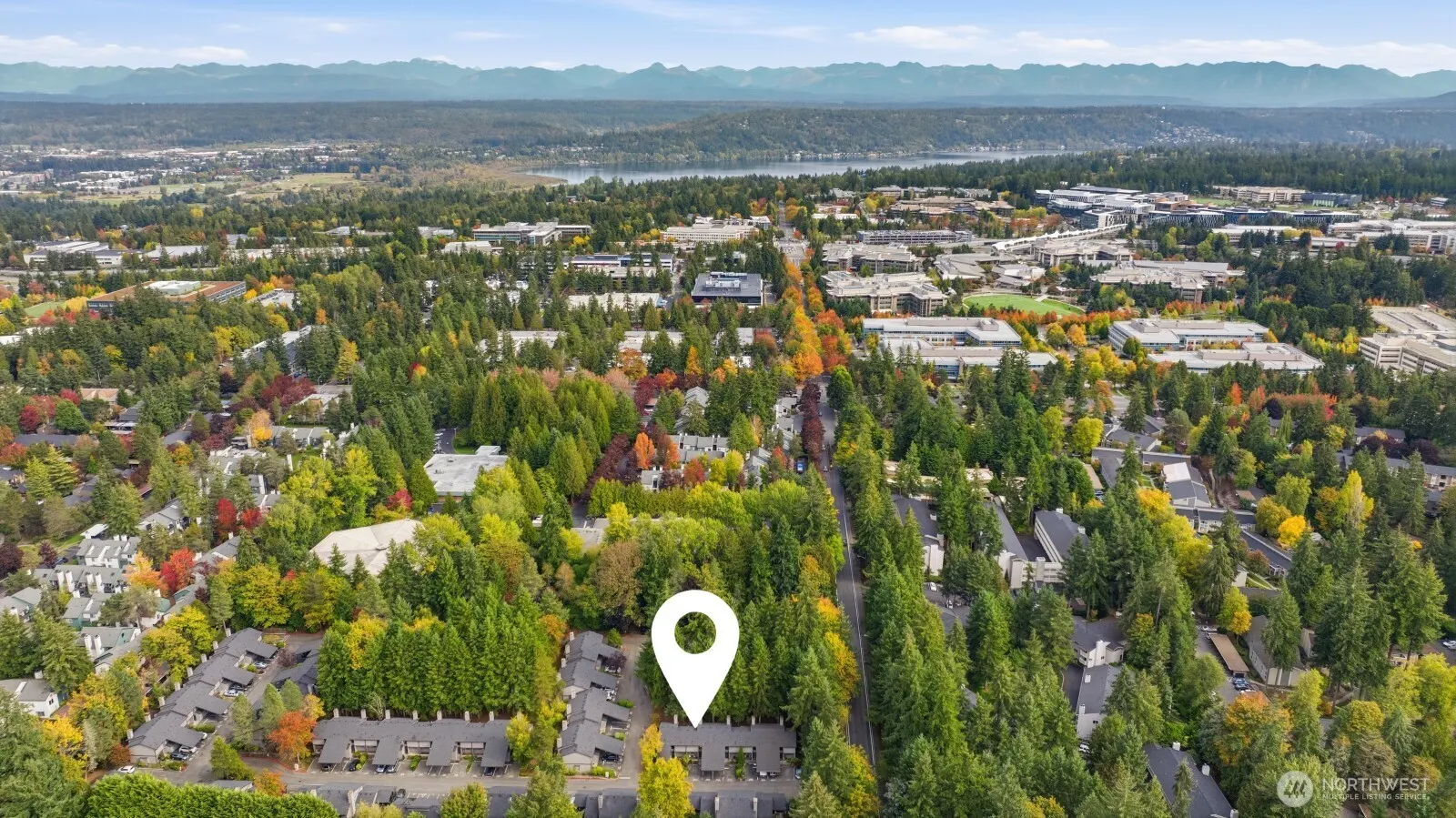 4035 145th Avenue NE, Bellevue, WA 98007