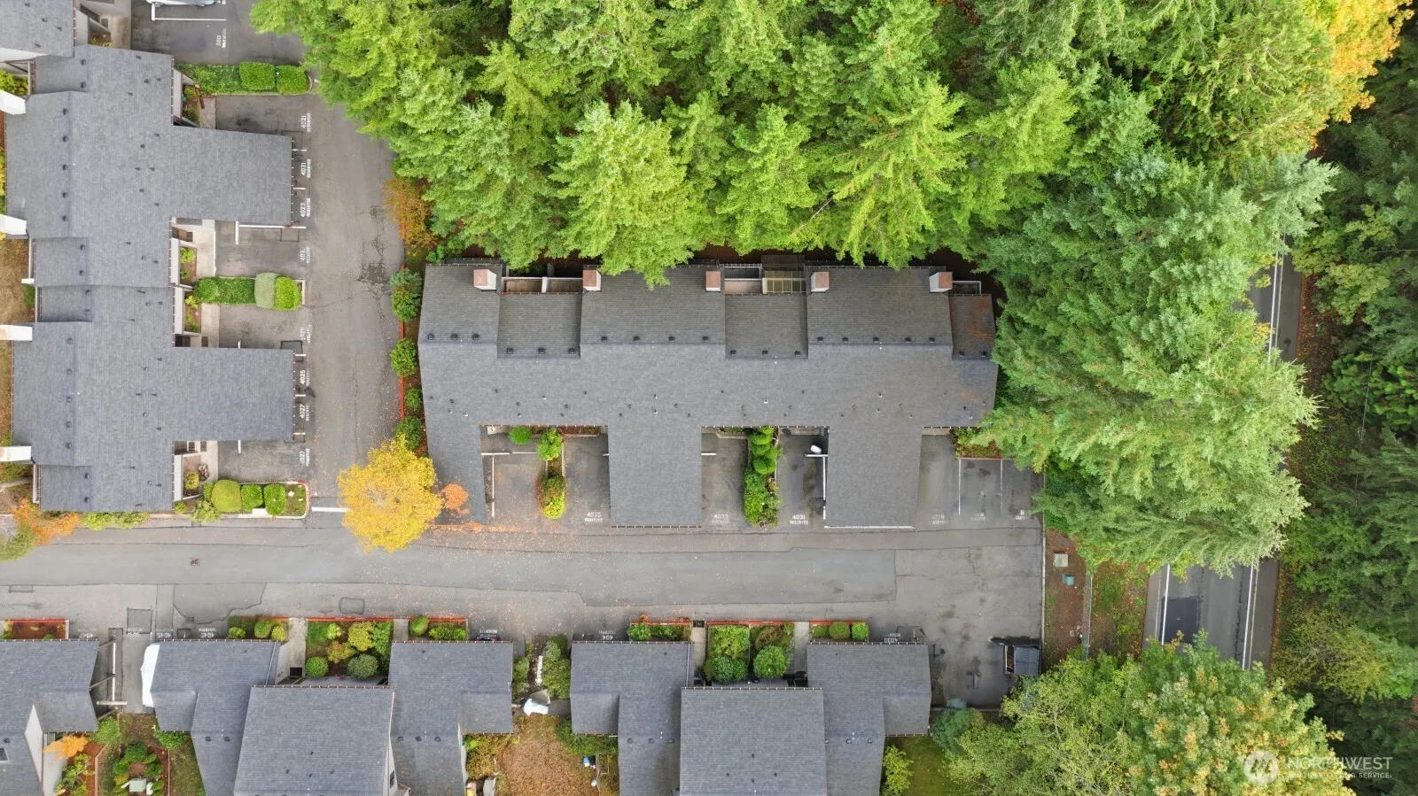4035 145th Avenue NE, Bellevue, WA 98007