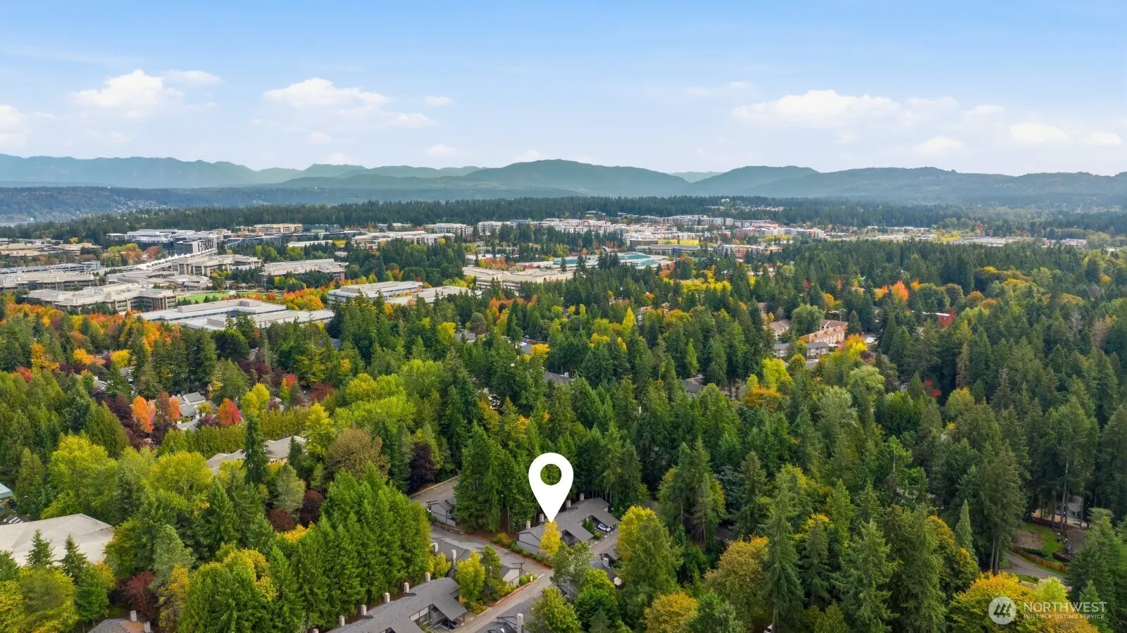 4035 145th Avenue NE, Bellevue, WA 98007