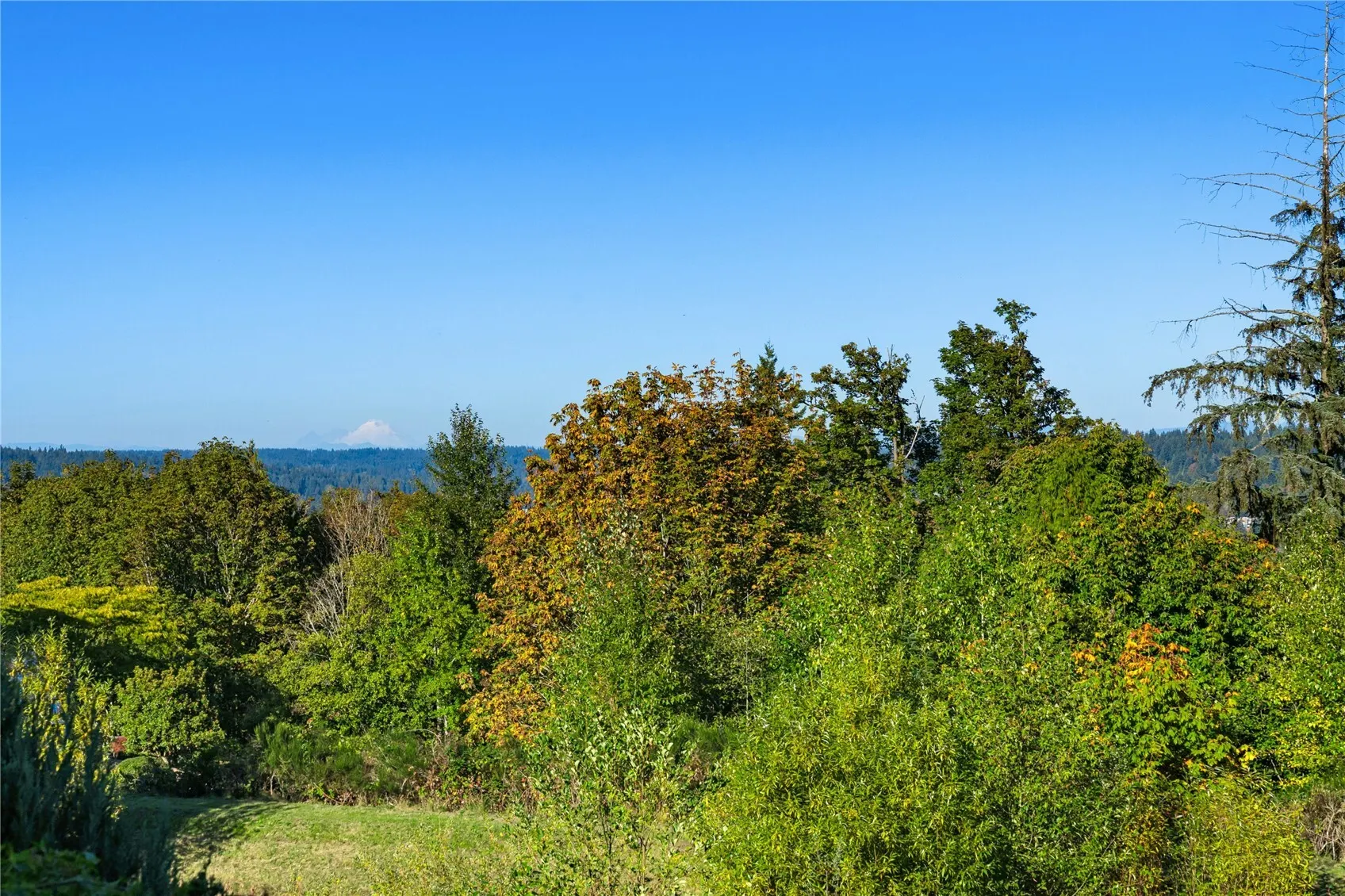 15378 129th Avenue NE, Woodinville, WA 98072