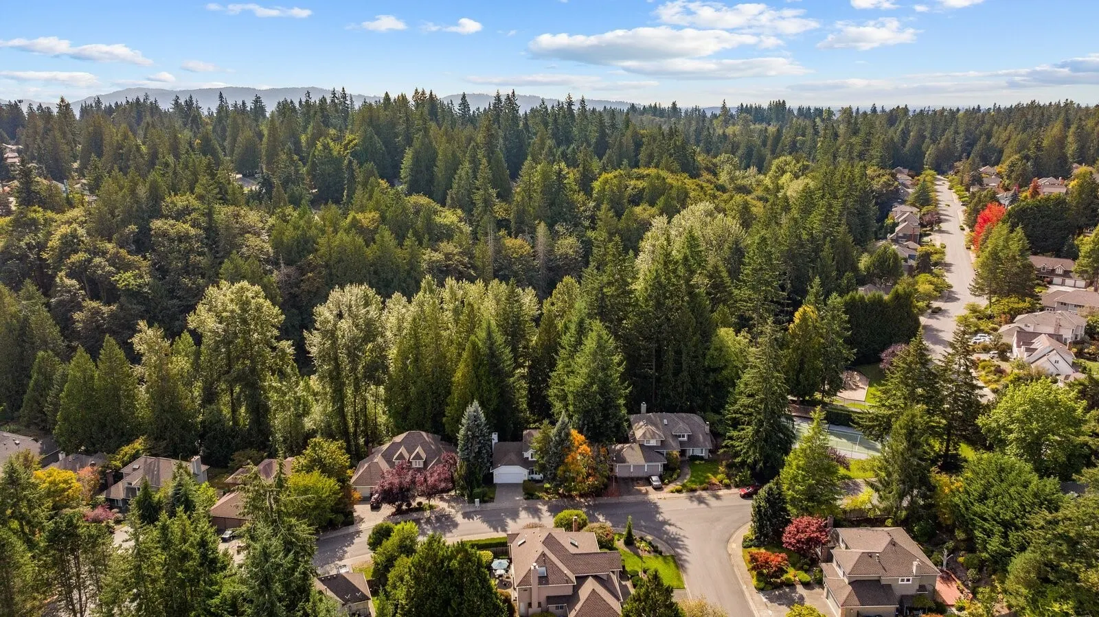 22109 NE 21st Way , Sammamish, WA 98074