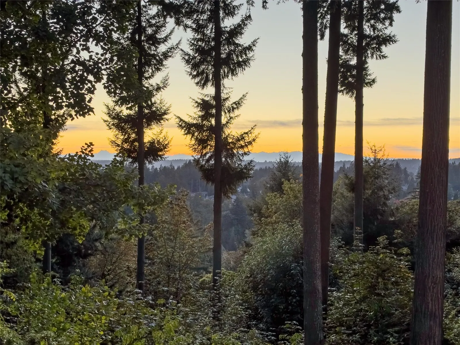 17315 102nd Avenue NE, Bothell, WA 98011-3744