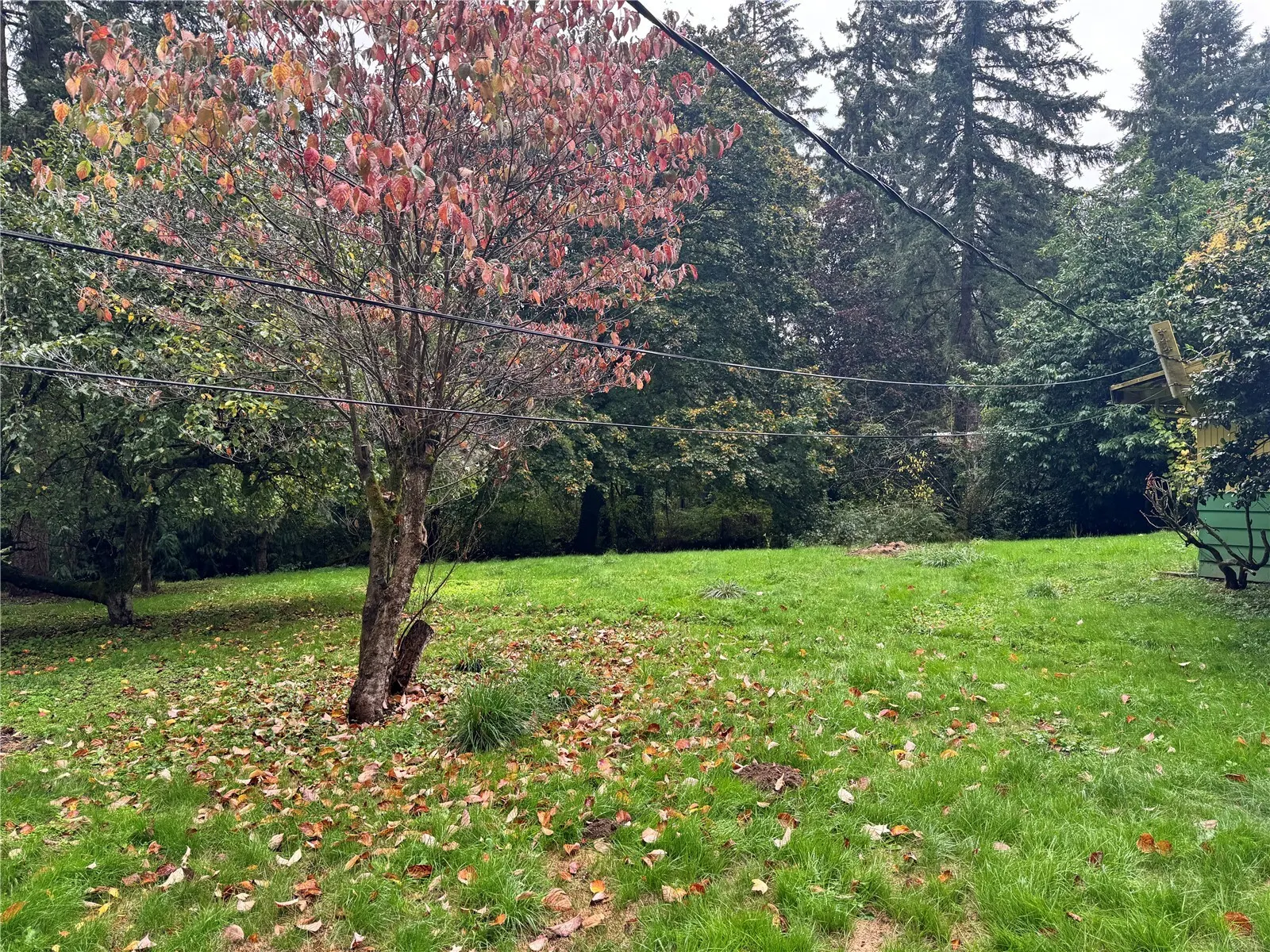 13239 166th Avenue SE, Renton, WA 98059