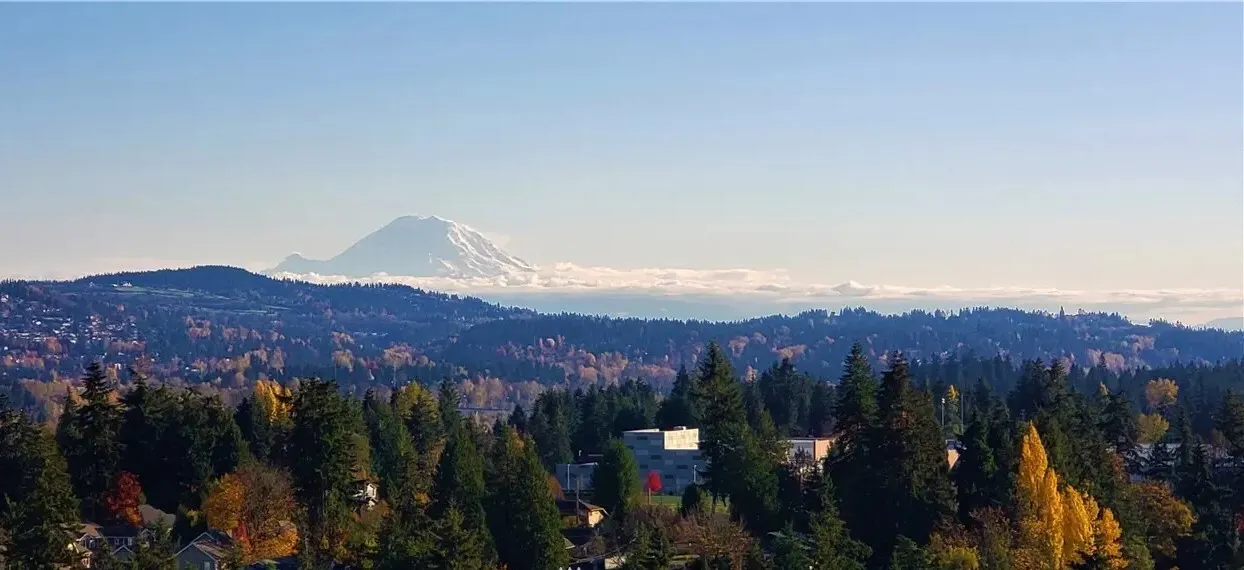 188 Bellevue Way NE #1905, Bellevue, WA 98004