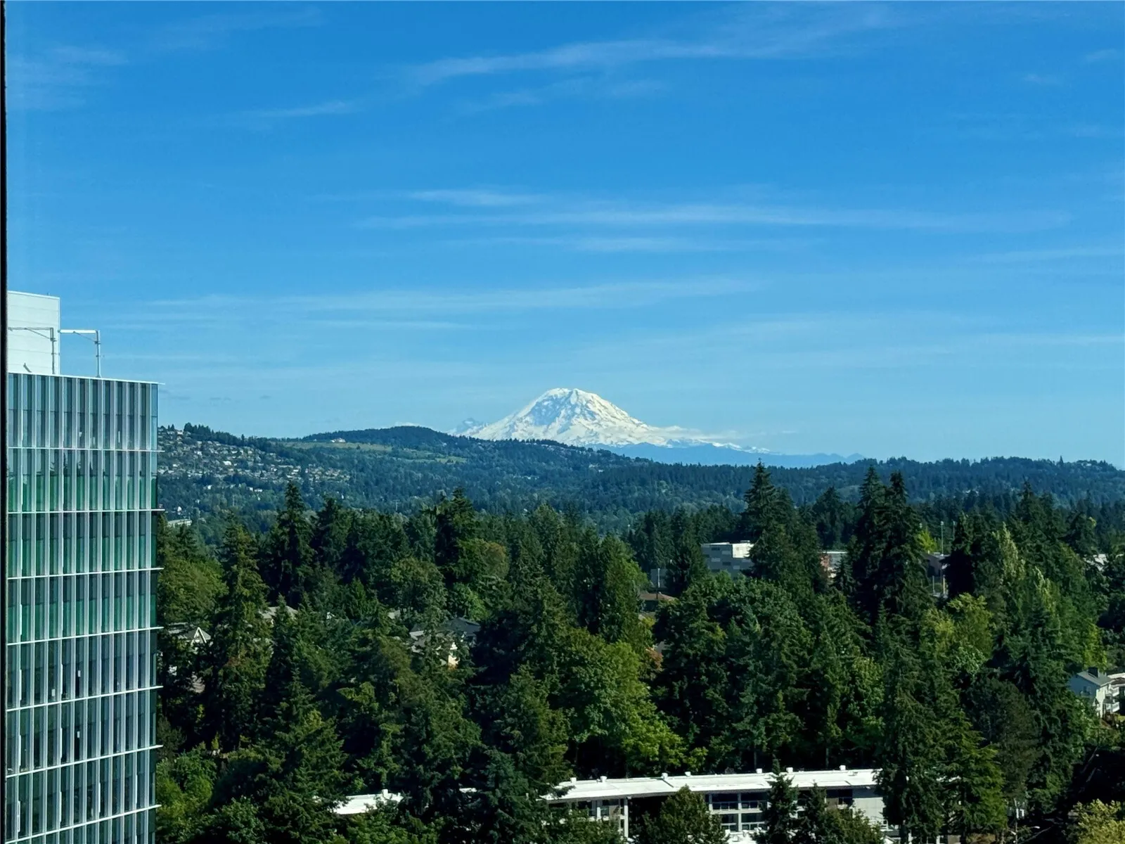 188 Bellevue Way NE #1905, Bellevue, WA 98004
