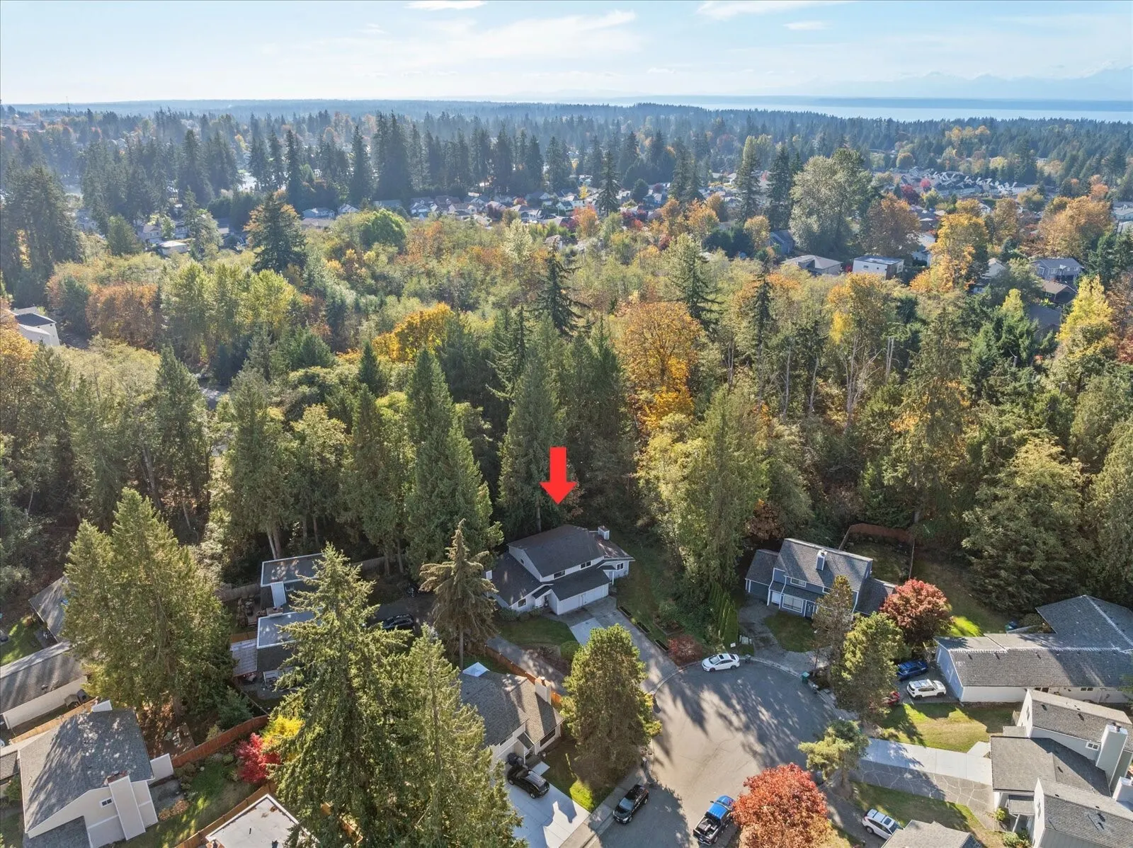 3410 134th Place SW #B, Lynnwood, WA 98087-1667