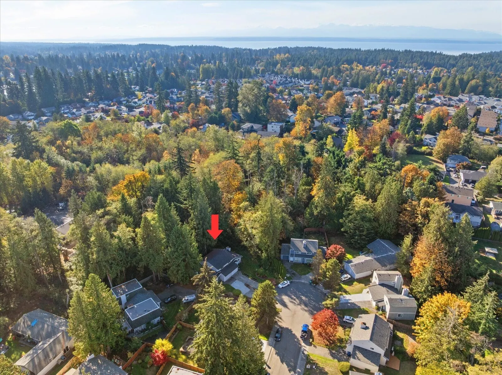 3410 134th Place SW #B, Lynnwood, WA 98087-1667