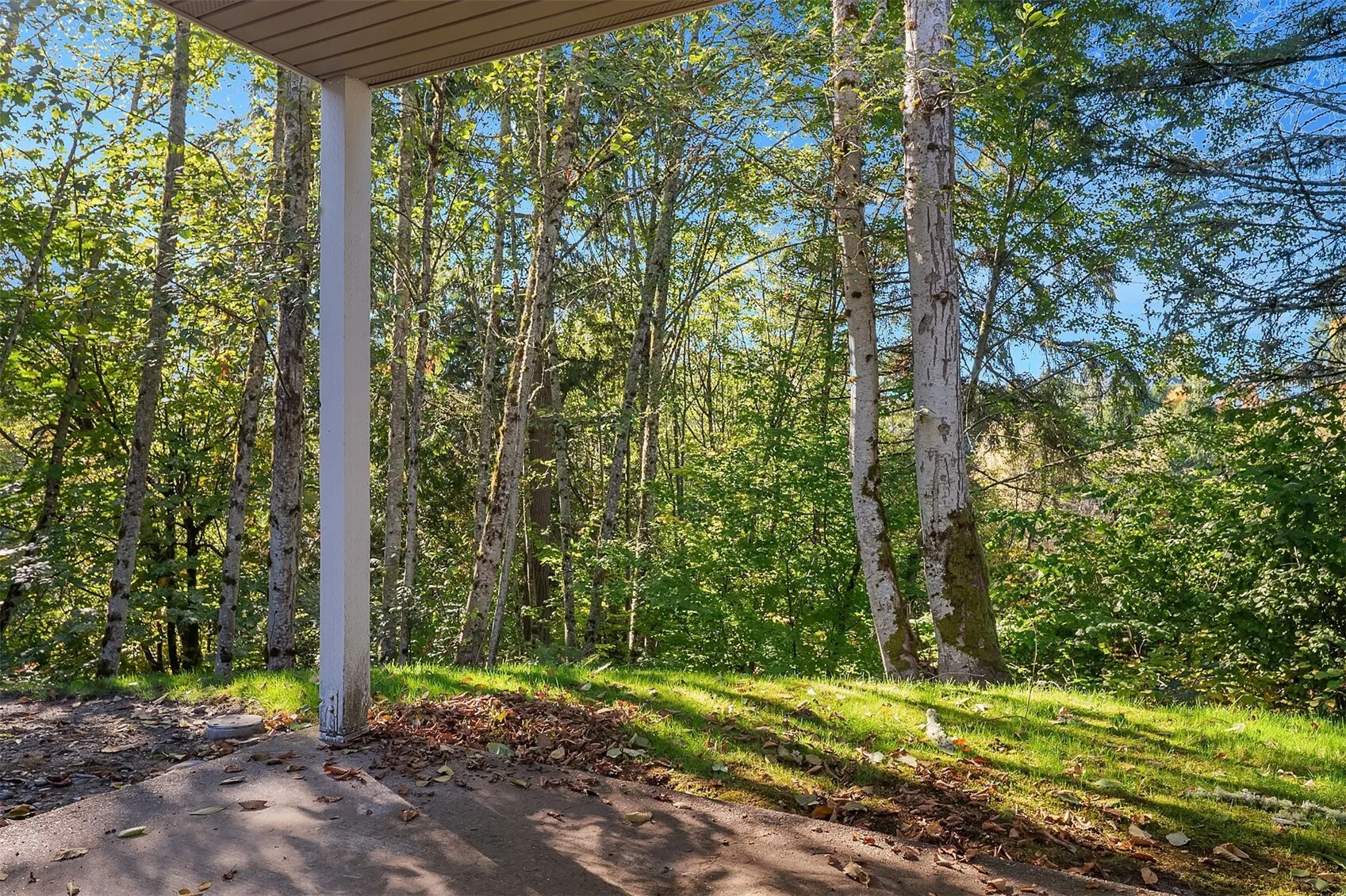 6515 SE Cougar Mountain Way #1, Bellevue, WA 98006