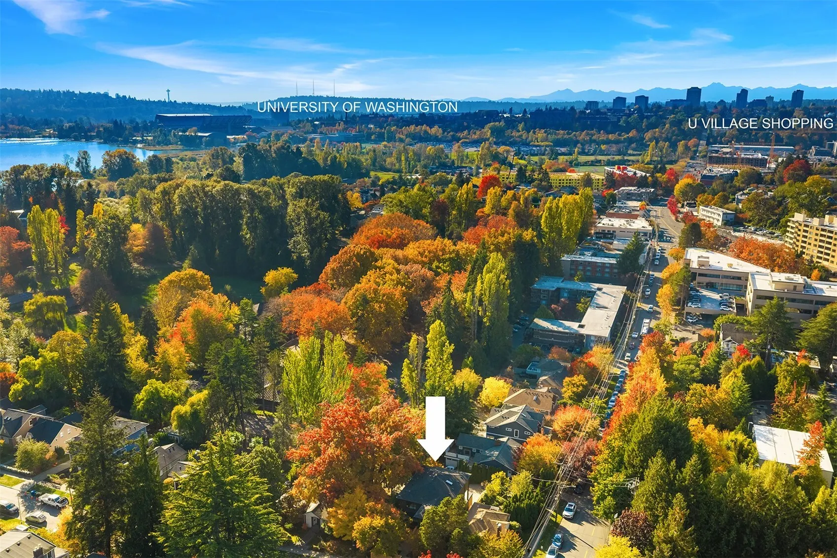 4191 42nd Avenue NE, Seattle, WA 98105