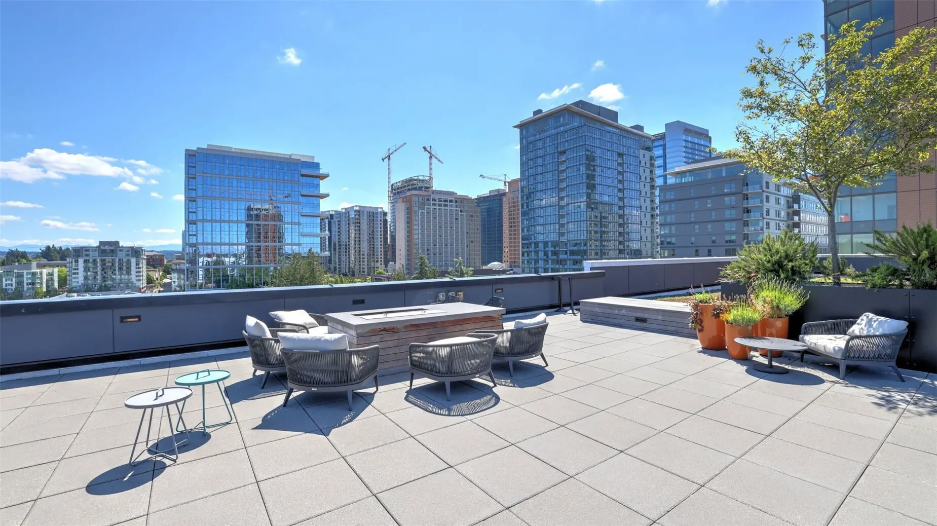 1085 103rd Avenue NE #325, Bellevue, WA 98004