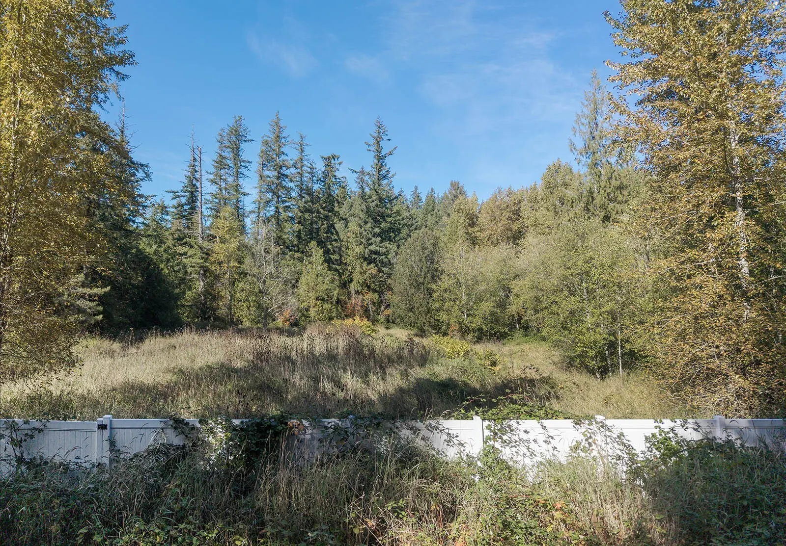 24 xxx SE Black Nugget Road , Issaquah, WA 98029