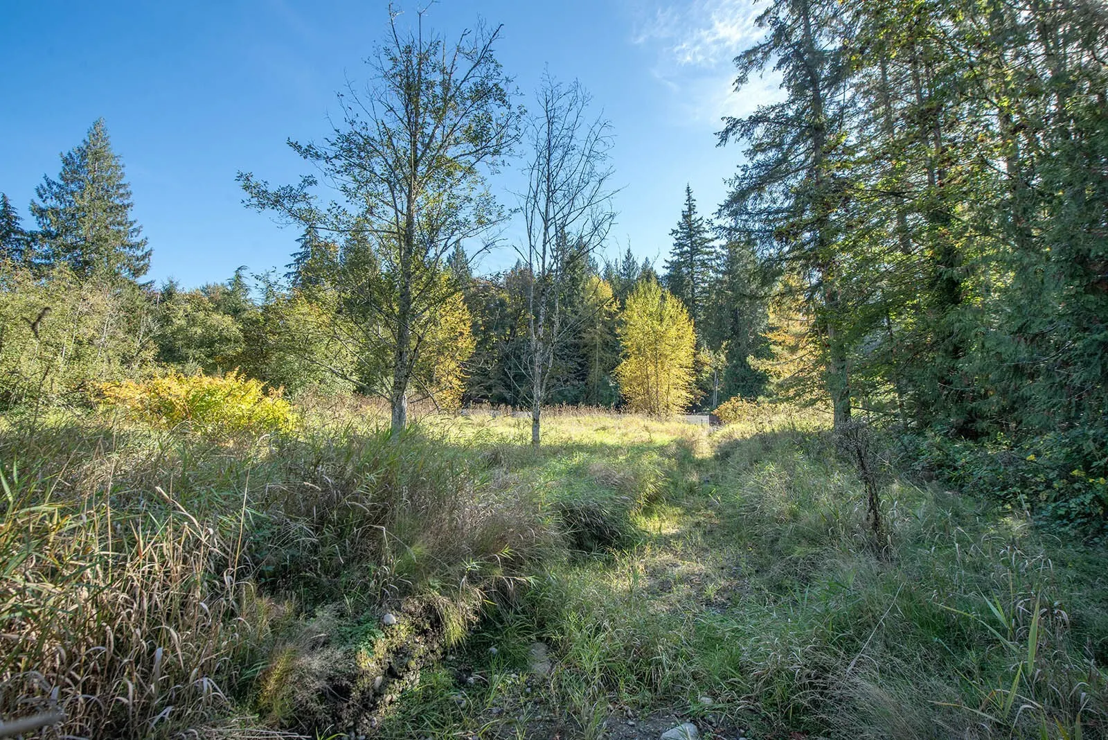 24 xxx SE Black Nugget Road , Issaquah, WA 98029