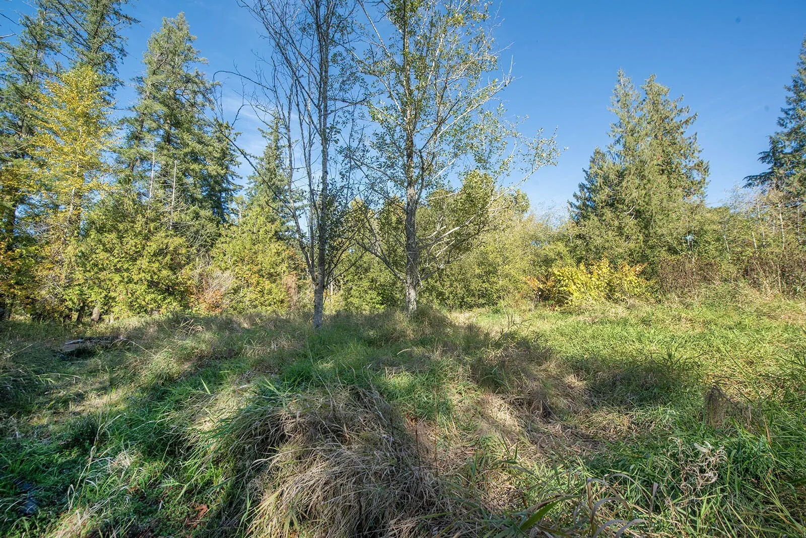 24 xxx SE Black Nugget Road , Issaquah, WA 98029