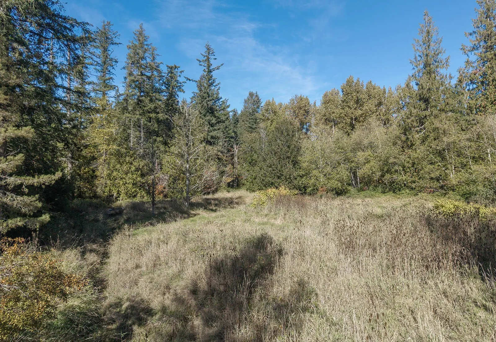 24 xxx SE Black Nugget Road , Issaquah, WA 98029