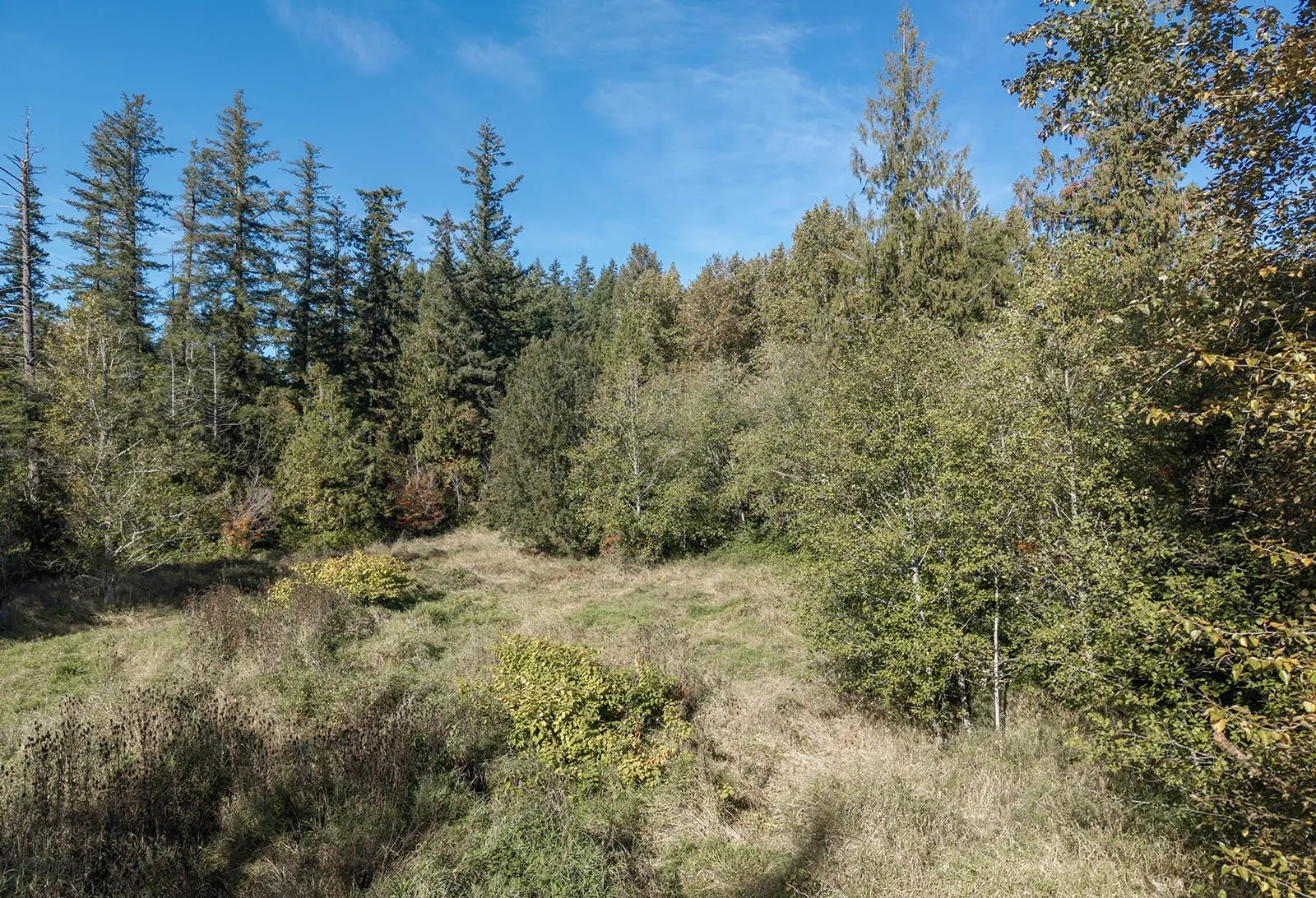 24 xxx SE Black Nugget Road , Issaquah, WA 98029