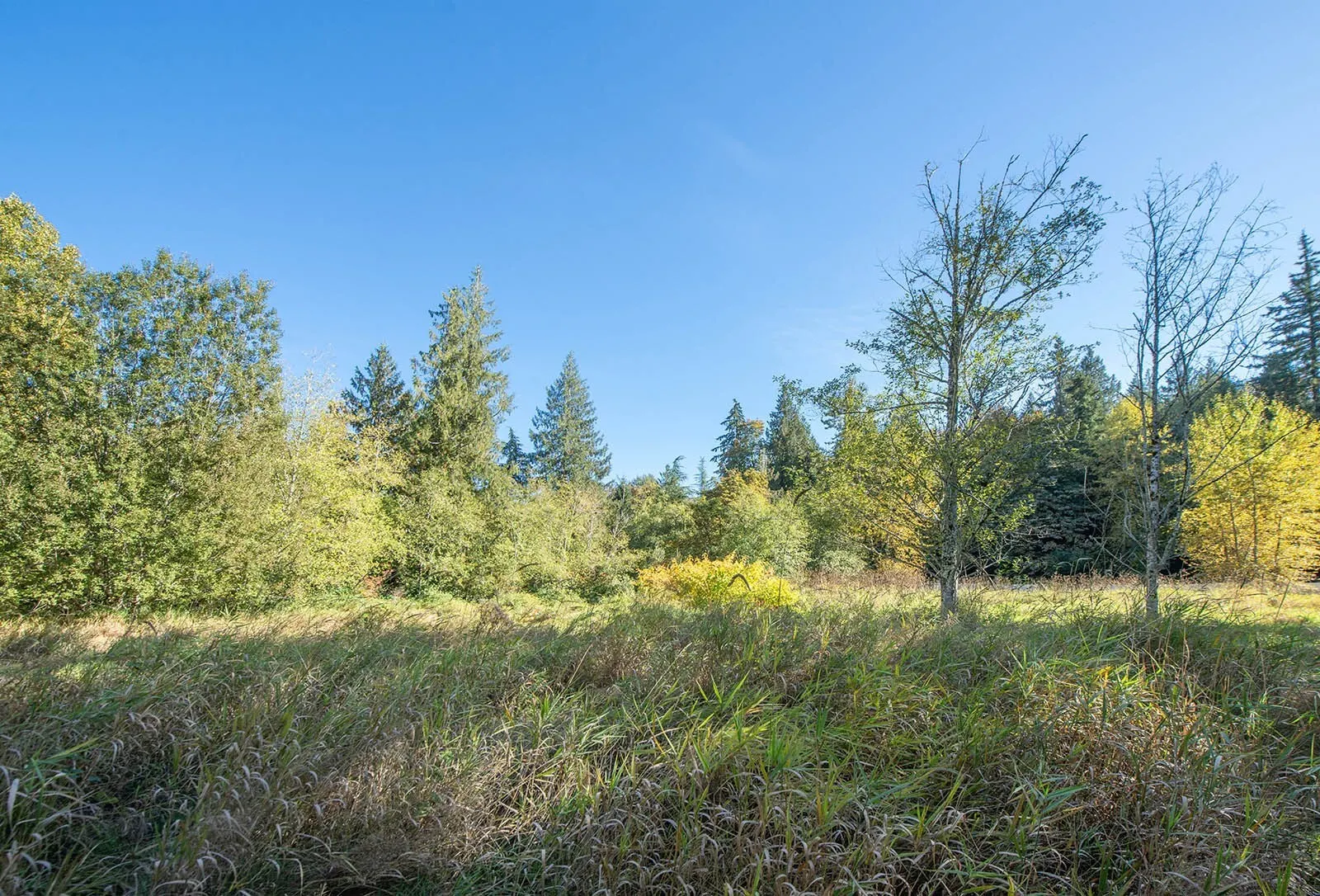 24 xxx SE Black Nugget Road , Issaquah, WA 98029