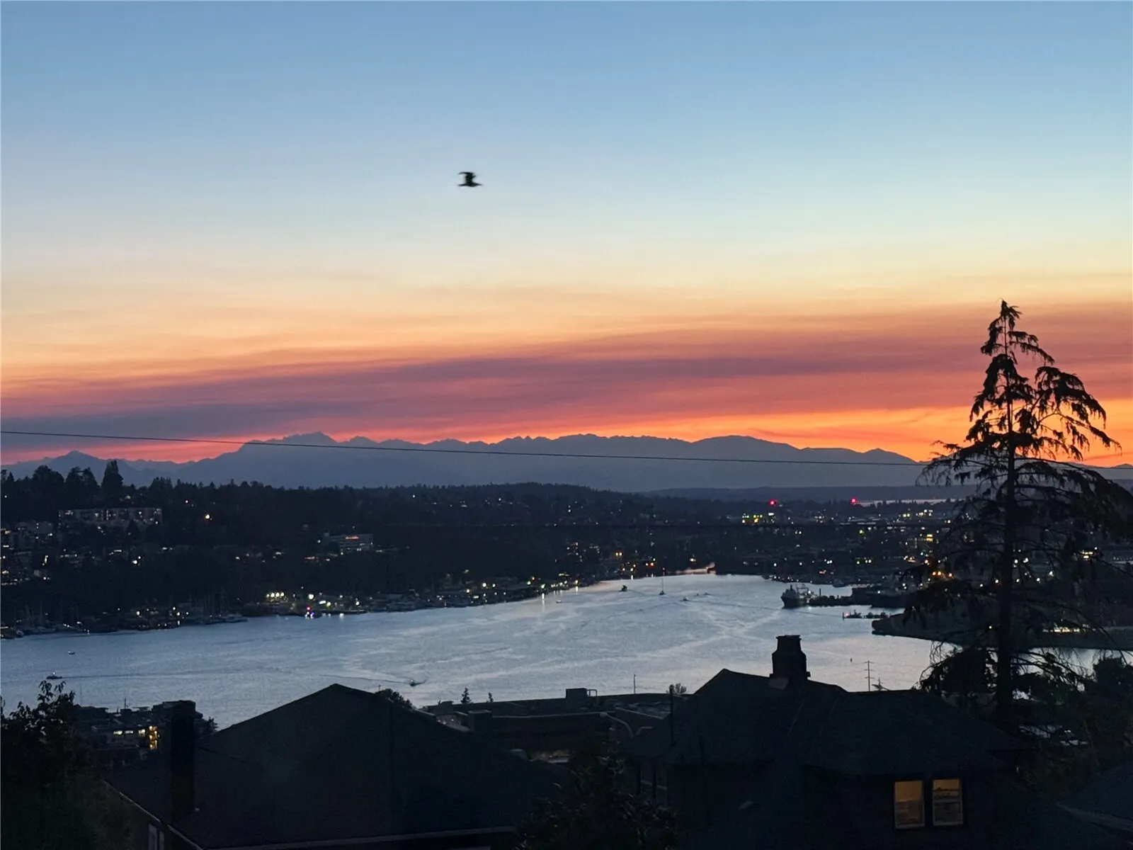 2220 Broadway E, Seattle, WA 98102