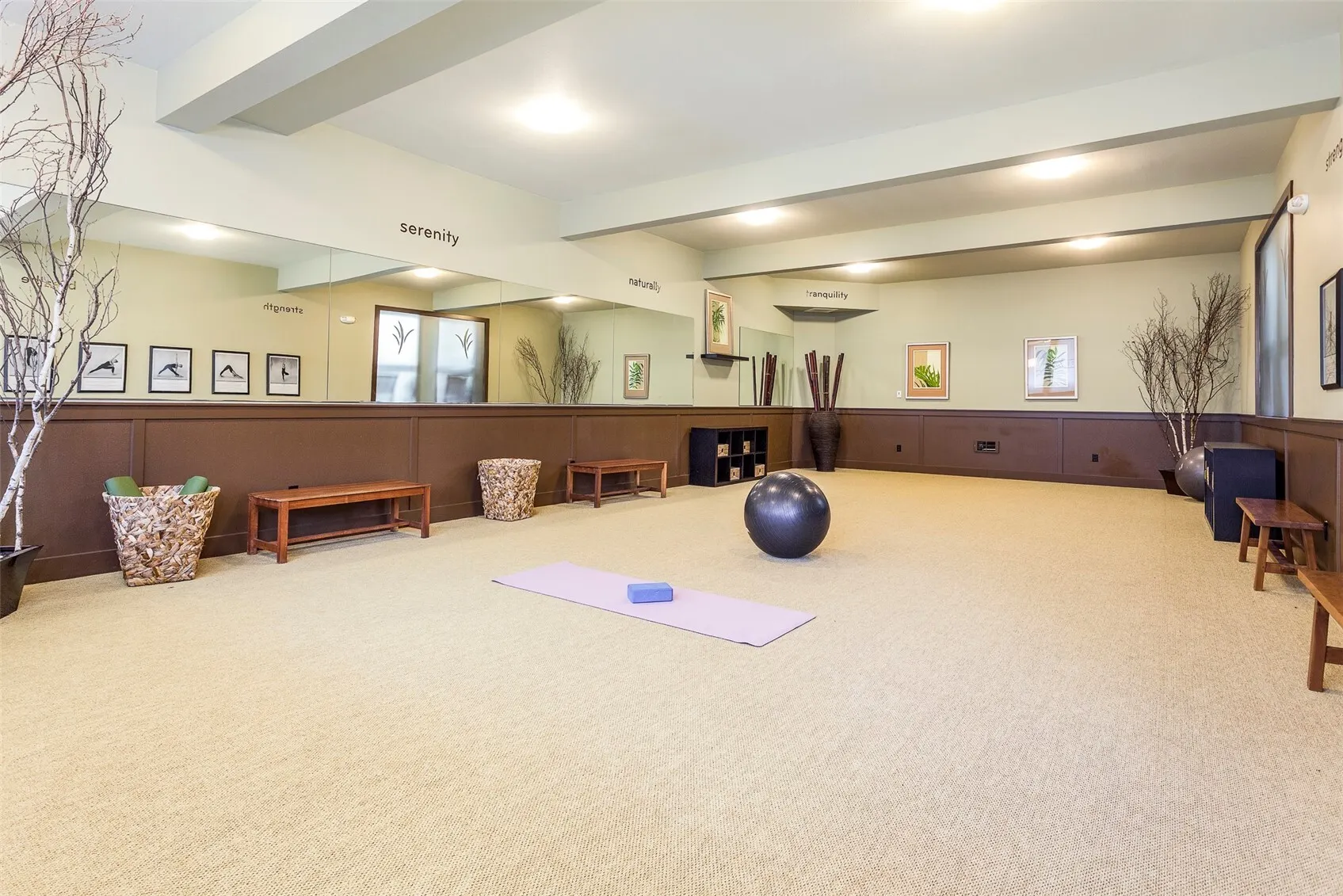 300 N 130th Street #4103, Seattle, WA 98133