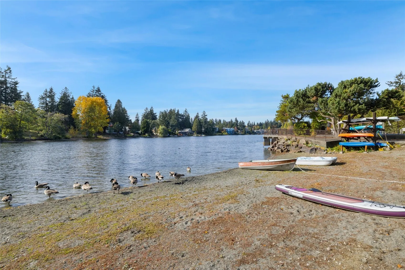 13229 N Linden Avenue #B-204, Seattle, WA 98133