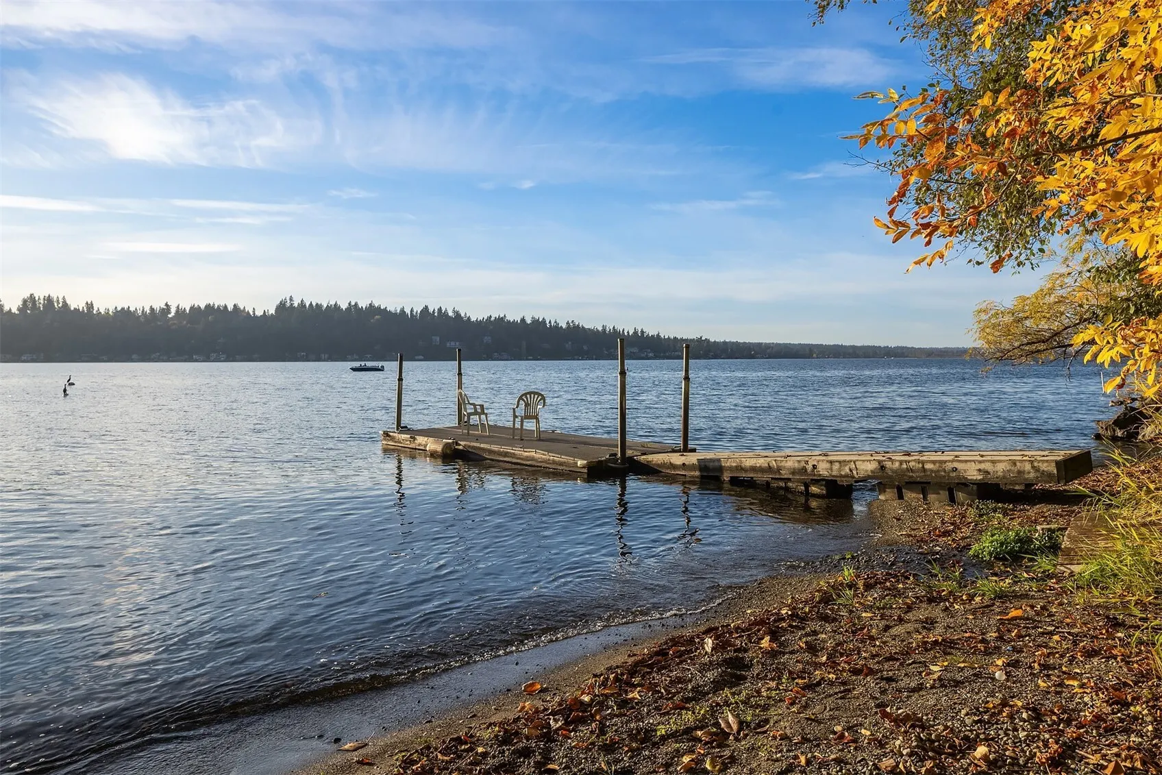20230 NE 18th Place , Sammamish, WA 98074