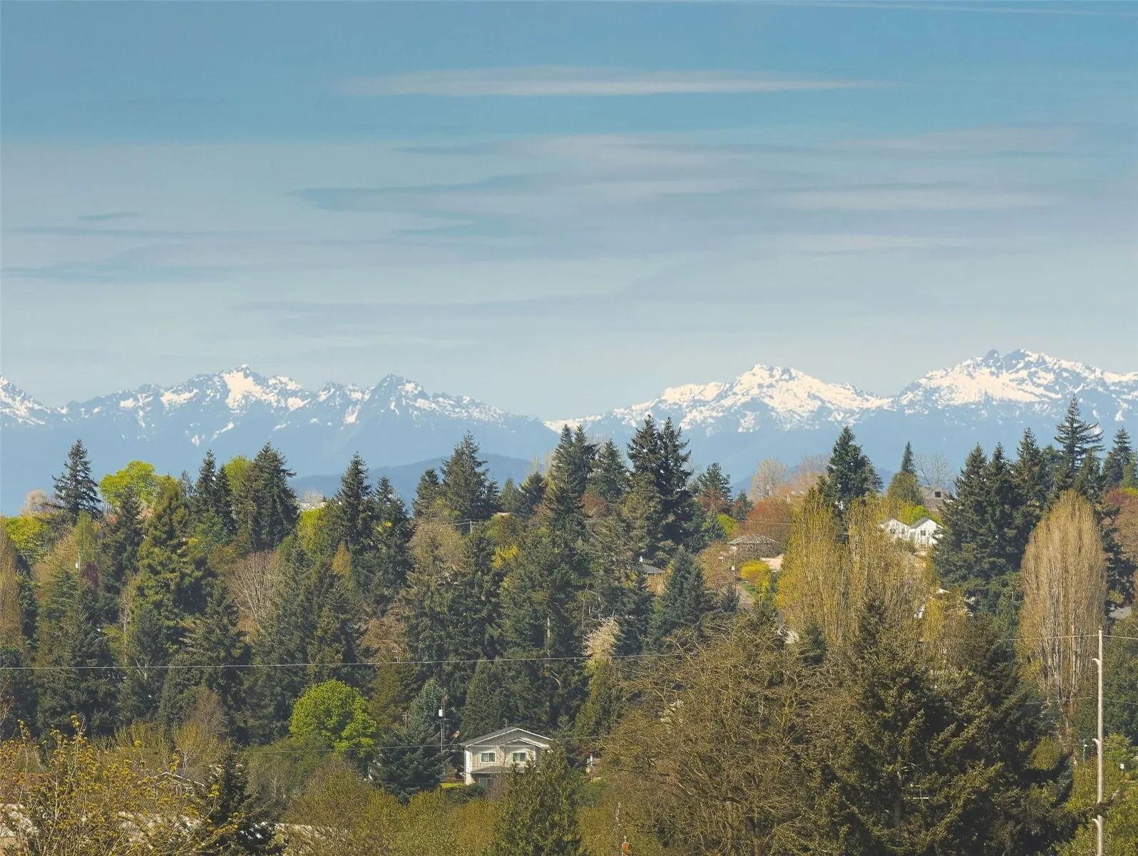 8147 14th Avenue SW, Seattle, WA 98106