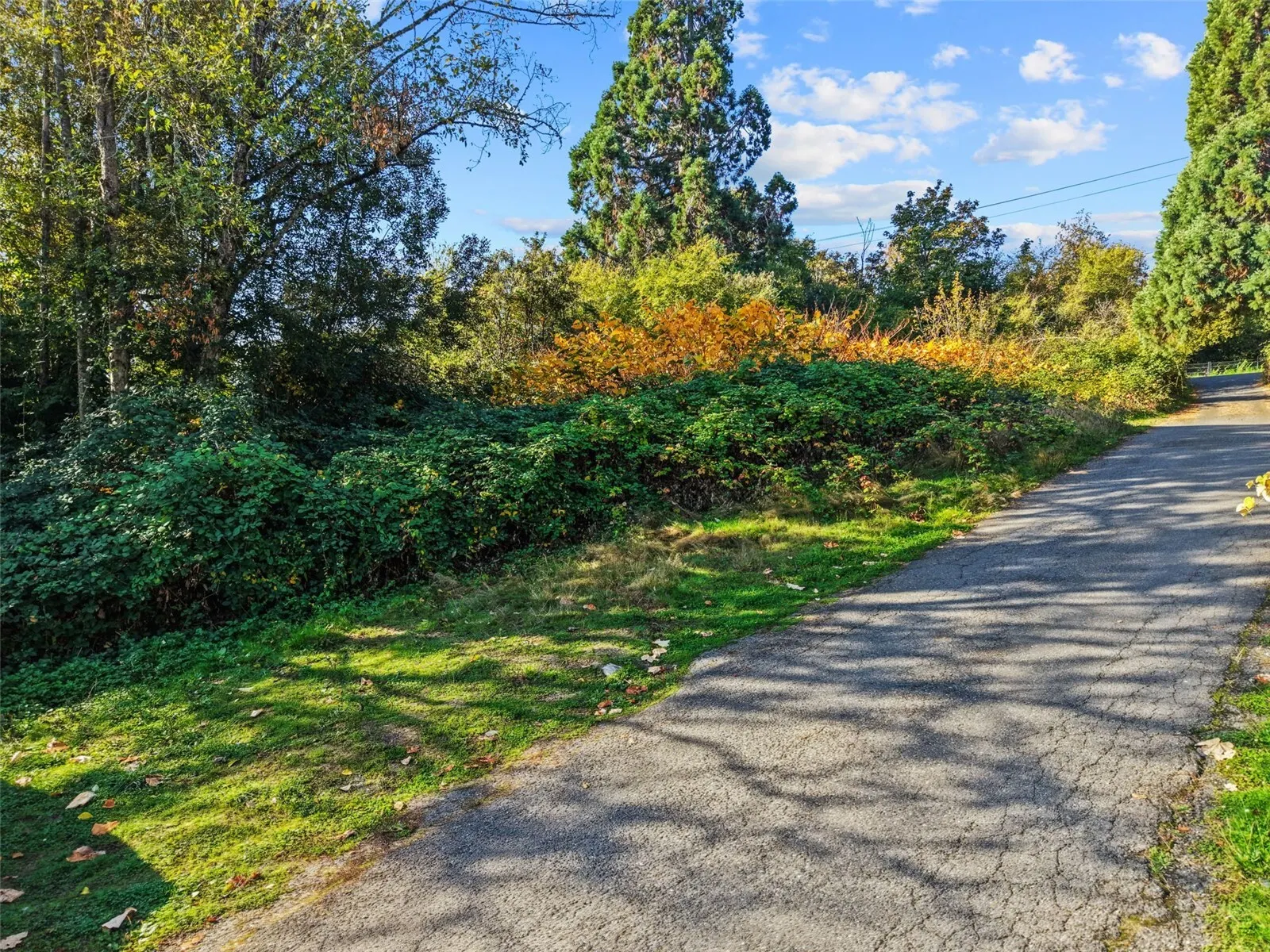 11250 Military Road S, Seattle, WA 98168
