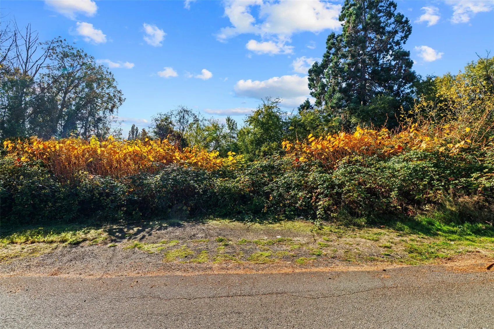 11250 Military Road S, Seattle, WA 98168