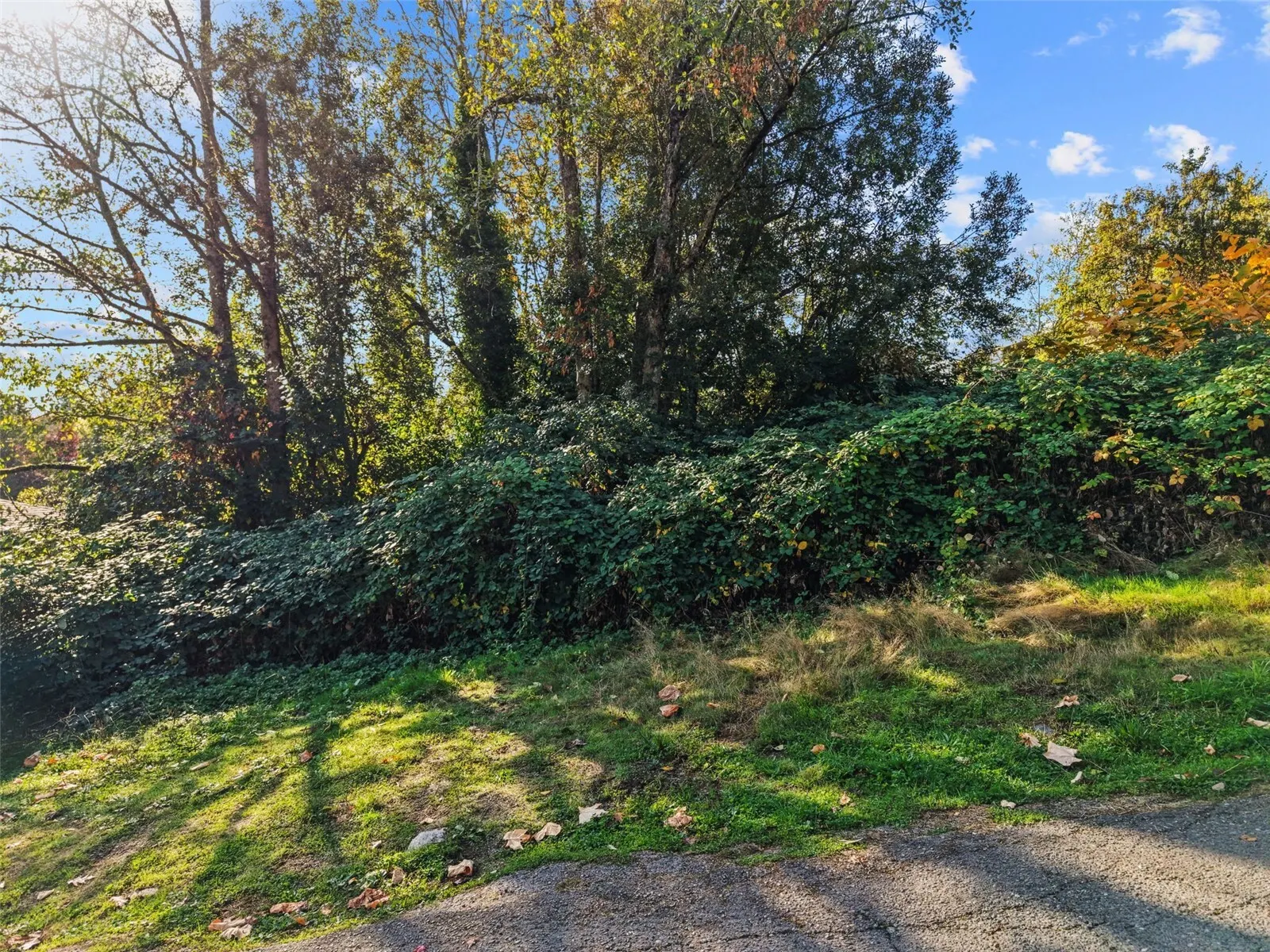 11250 Military Road S, Seattle, WA 98168