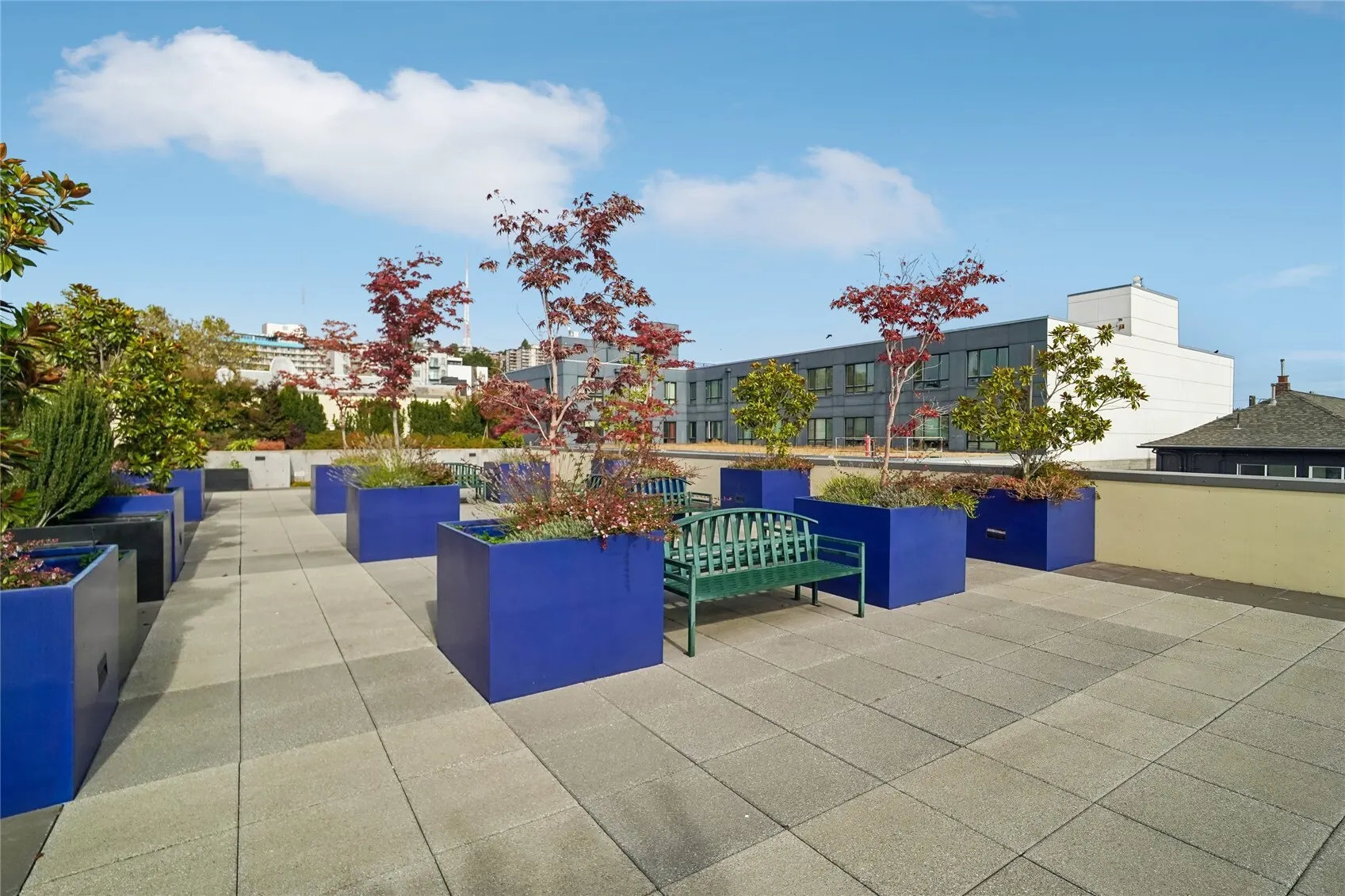17 W Mercer Street #213, Seattle, WA 98119