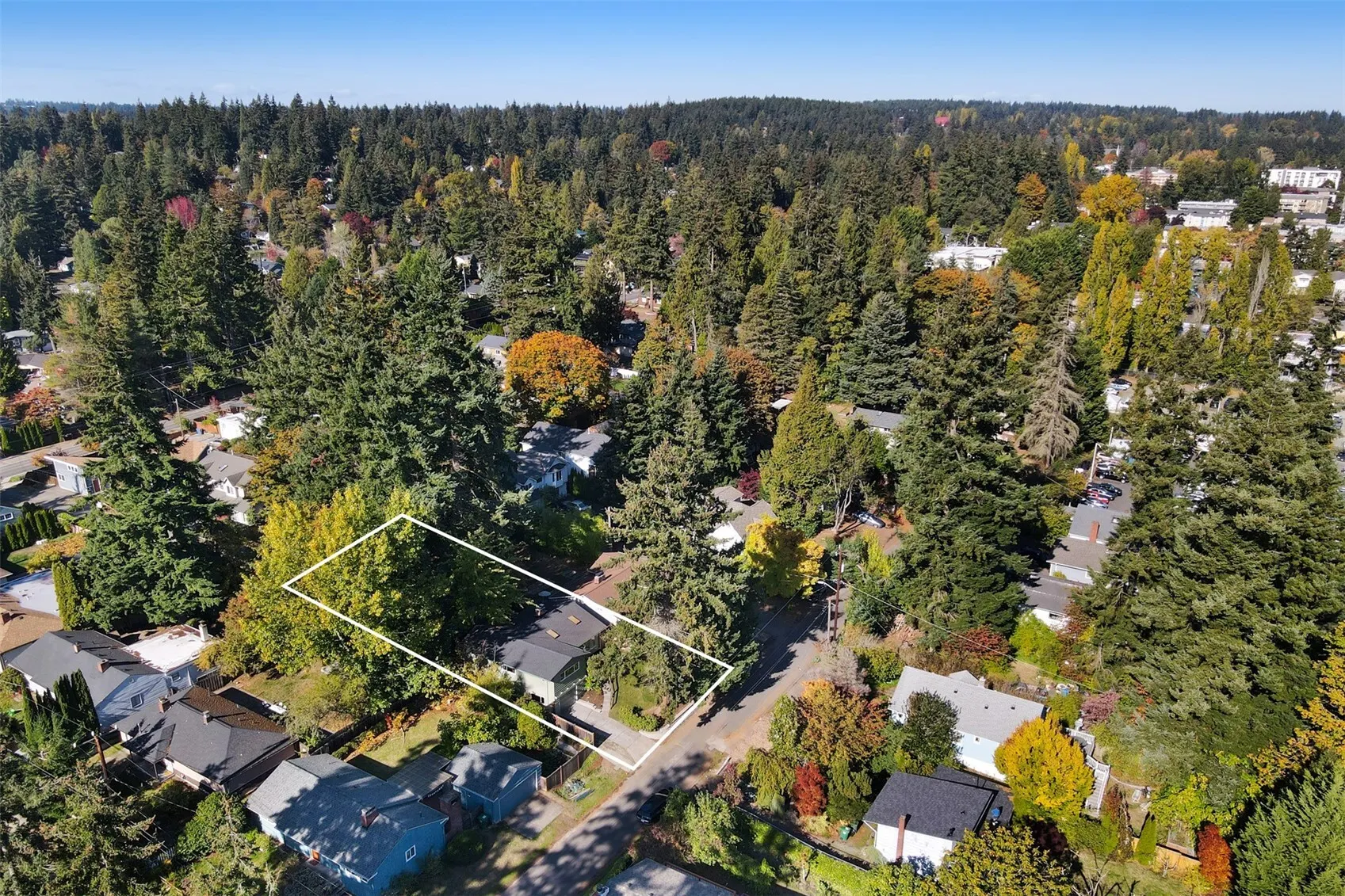 13315 31st Avenue NE, Seattle, WA 98125