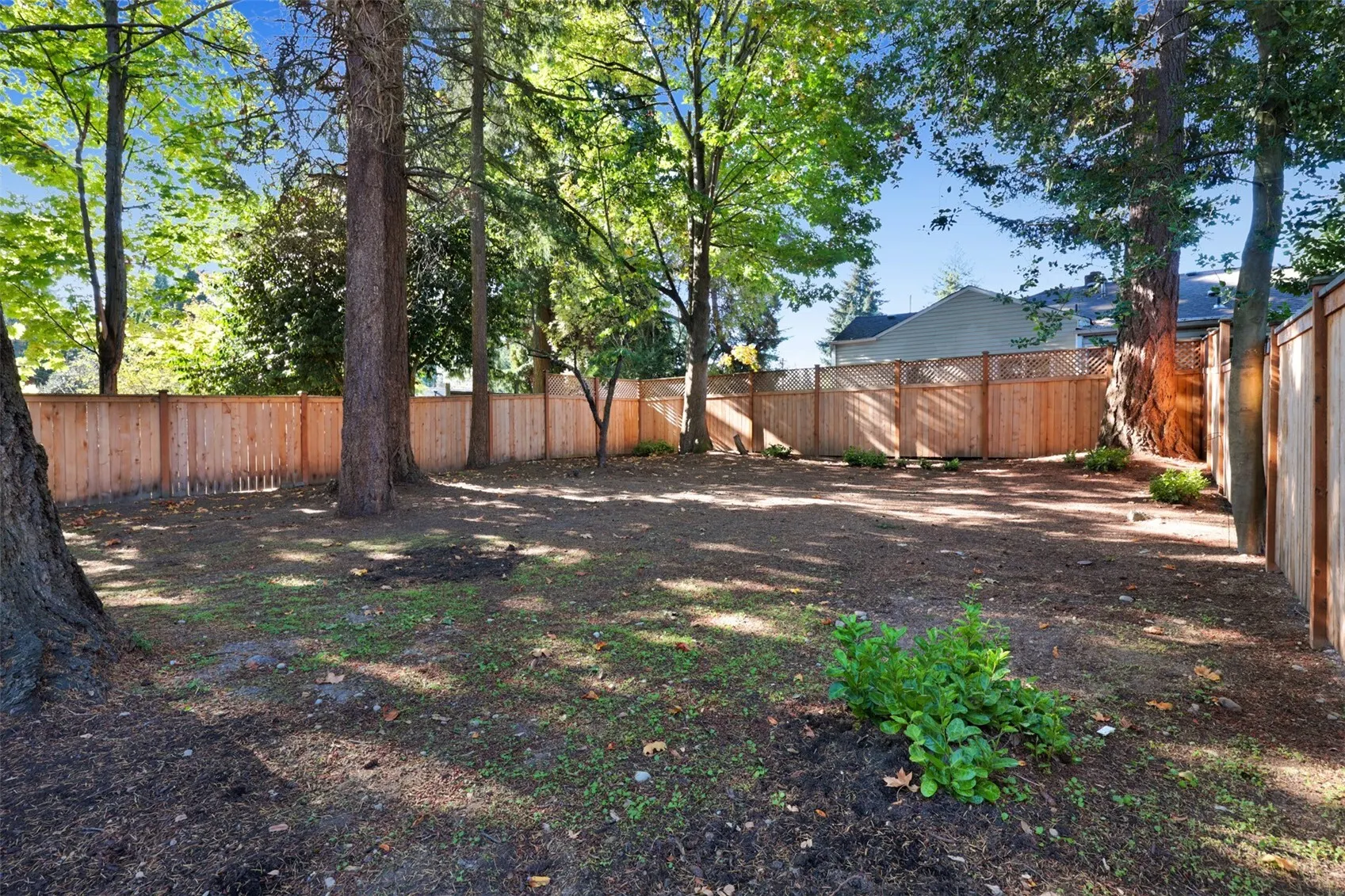 13315 31st Avenue NE, Seattle, WA 98125