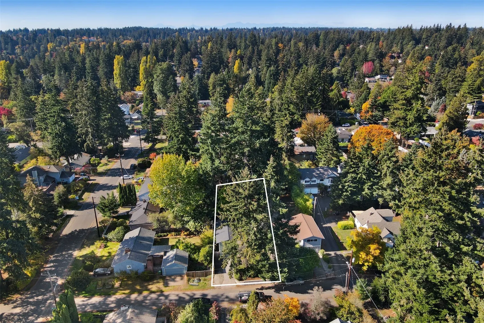 13315 31st Avenue NE, Seattle, WA 98125